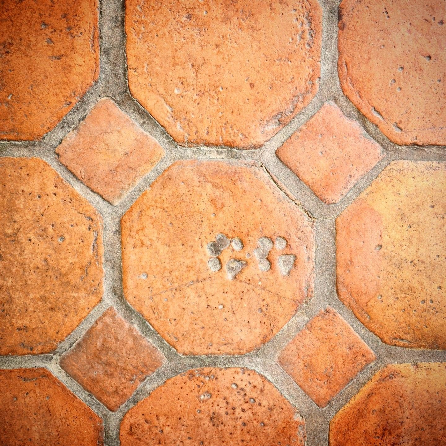 All the small things - like these adorable doggie prints in this tile work. What small things are you noticing this weekend? #tuacsmallthings #artclub #artchallenge