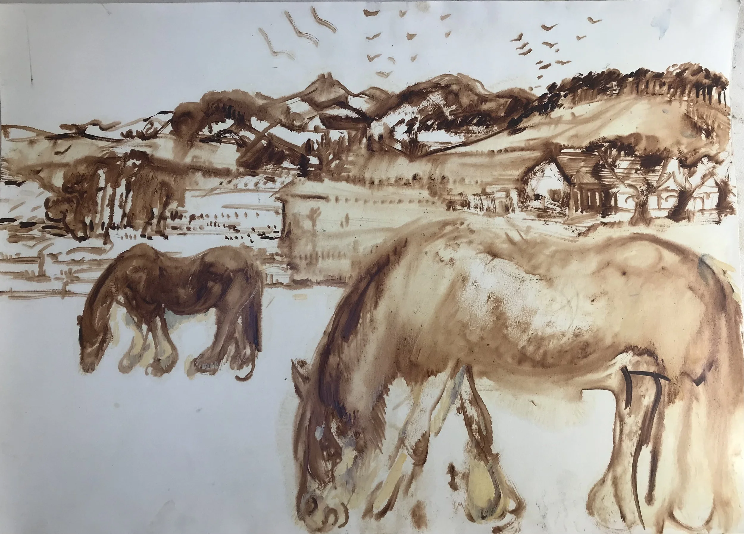 Clydesdales at Bamflat