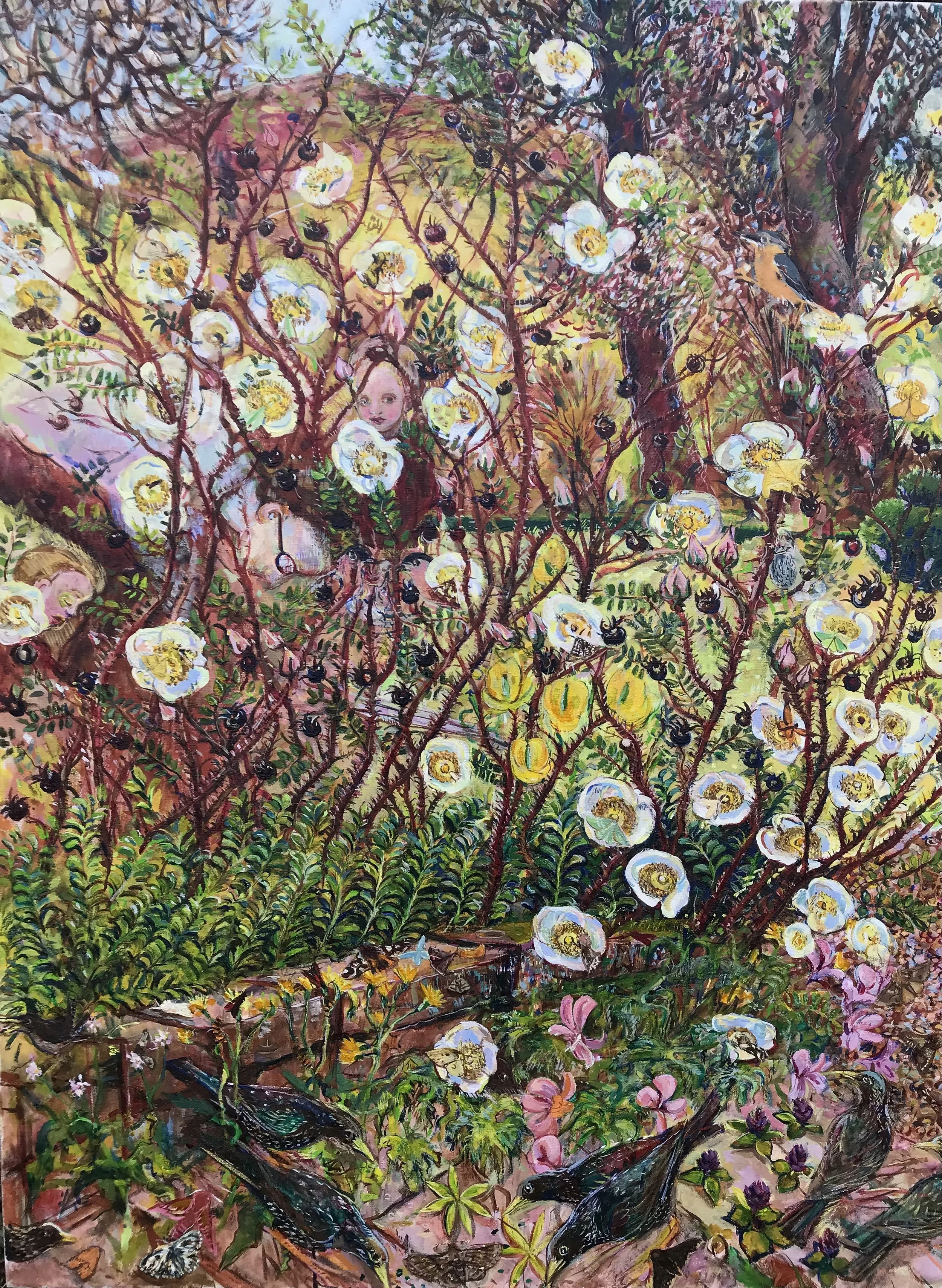 ROSES 
Wild Alba Rose with Starling, Moths, Self Heal.
summer show 2026  at the Royal Hibernian Academy in Dublin 
120x90cm oil on fine Belgian linen. 6900 euro
