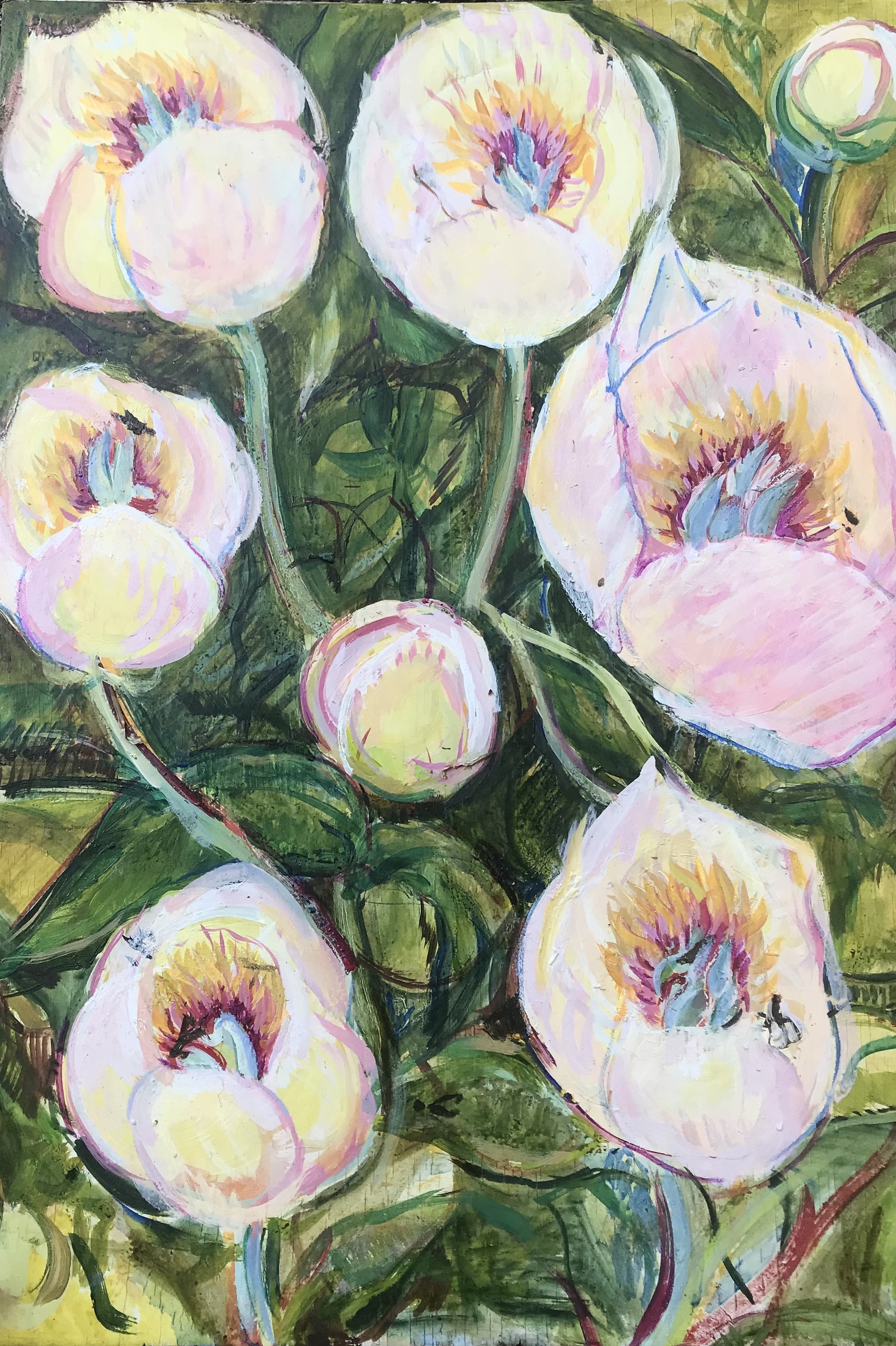 ‘Molly the Witch’ Malevich Peonies  
Oil on gesso wood, 40 x 30cm £890
