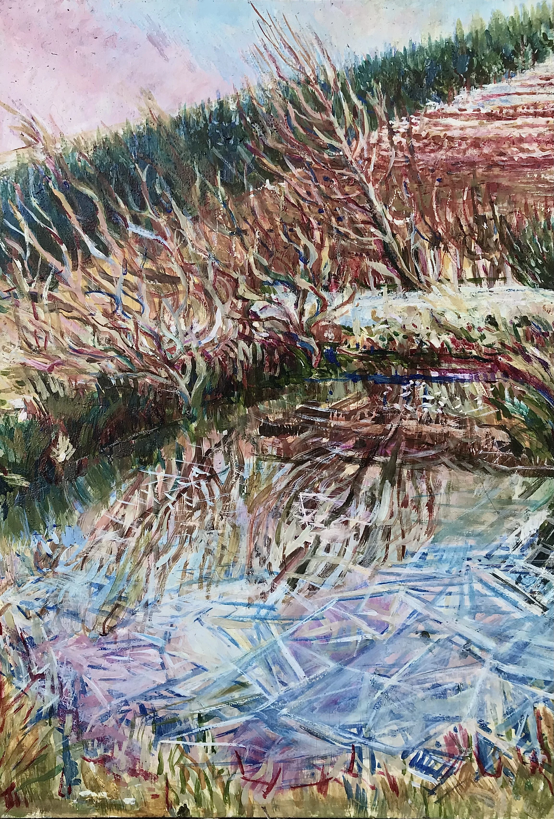 Frozen Pond