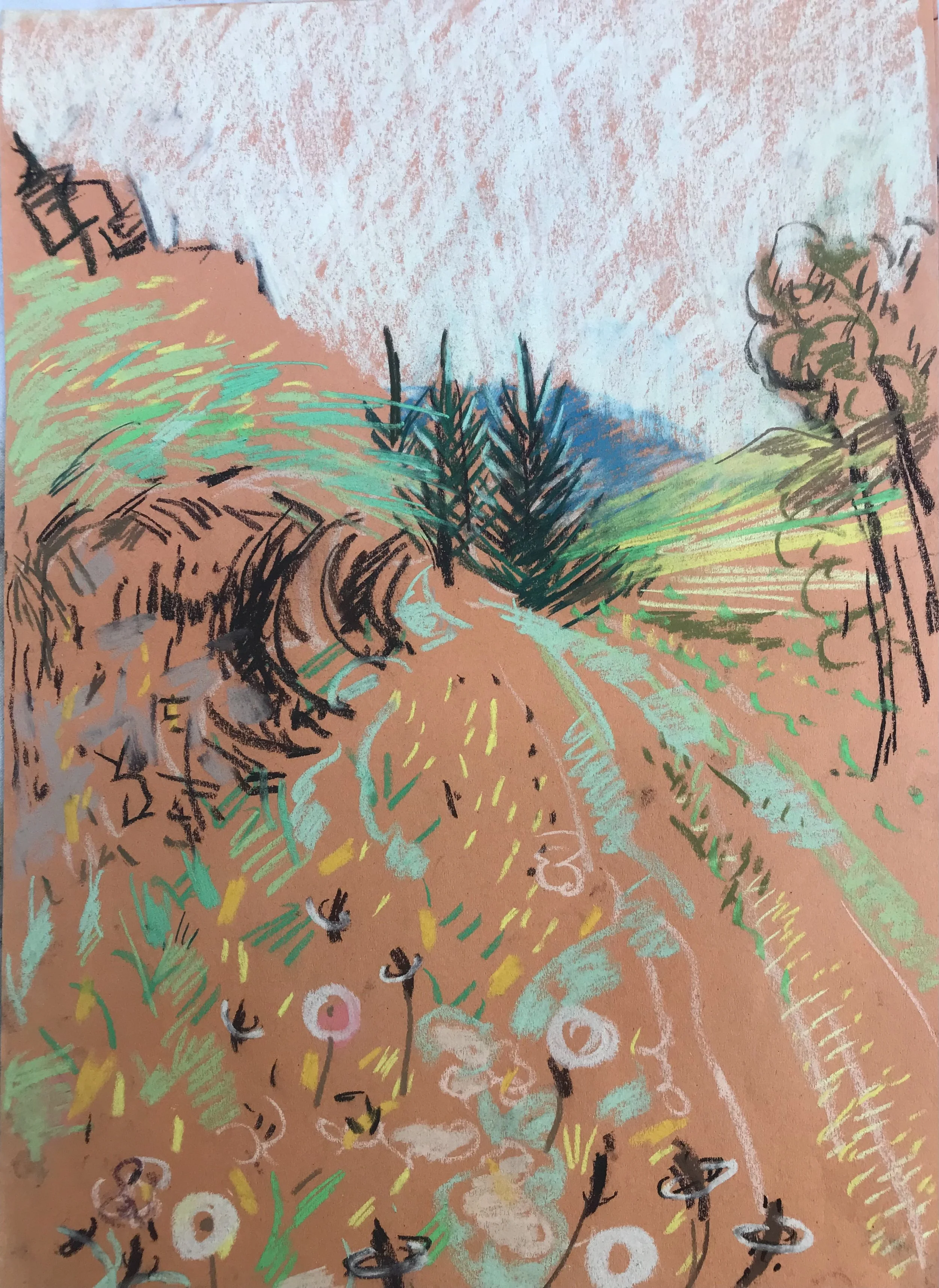 Plan for Yarrow Meadow