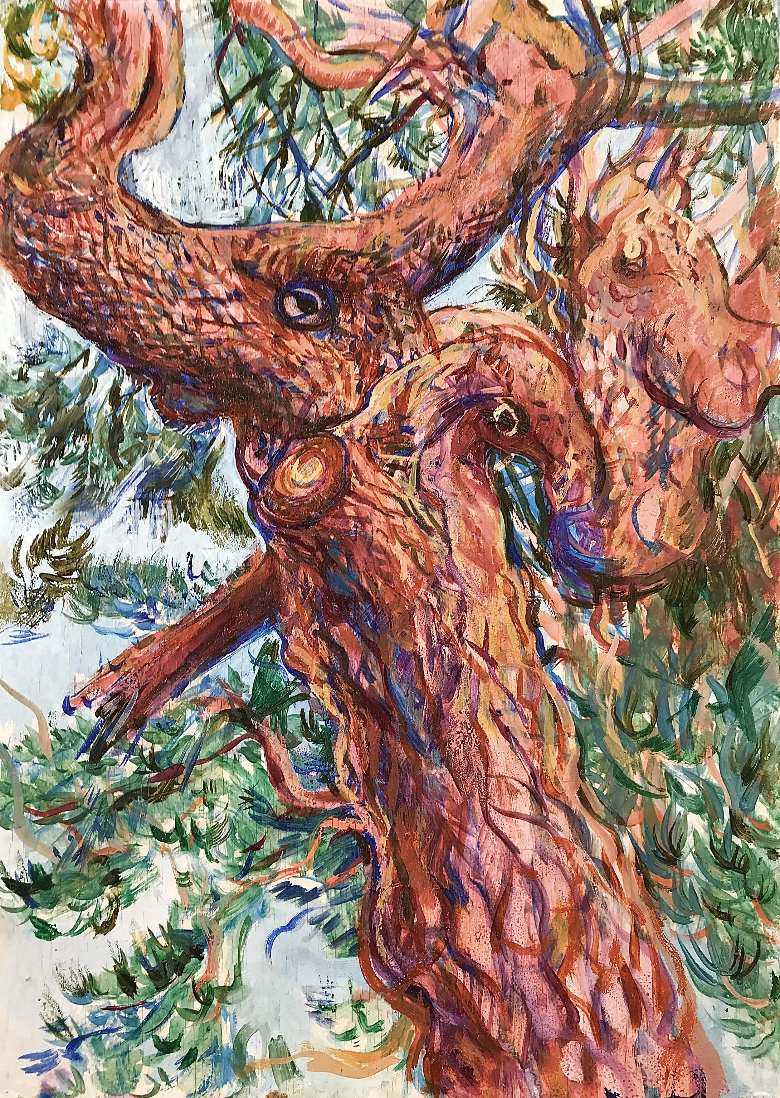Drumelzier Pine