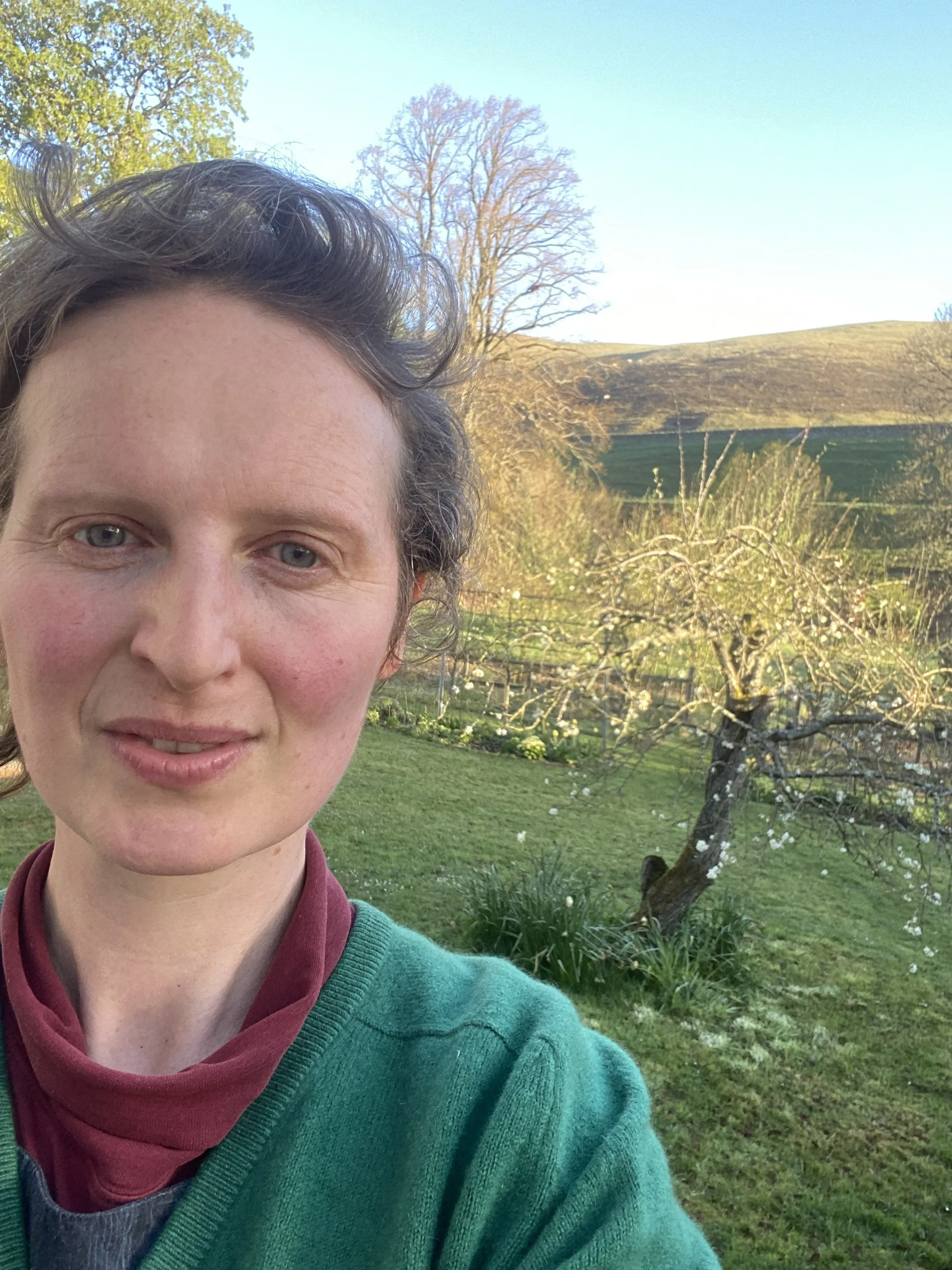 With favourite plum tree 