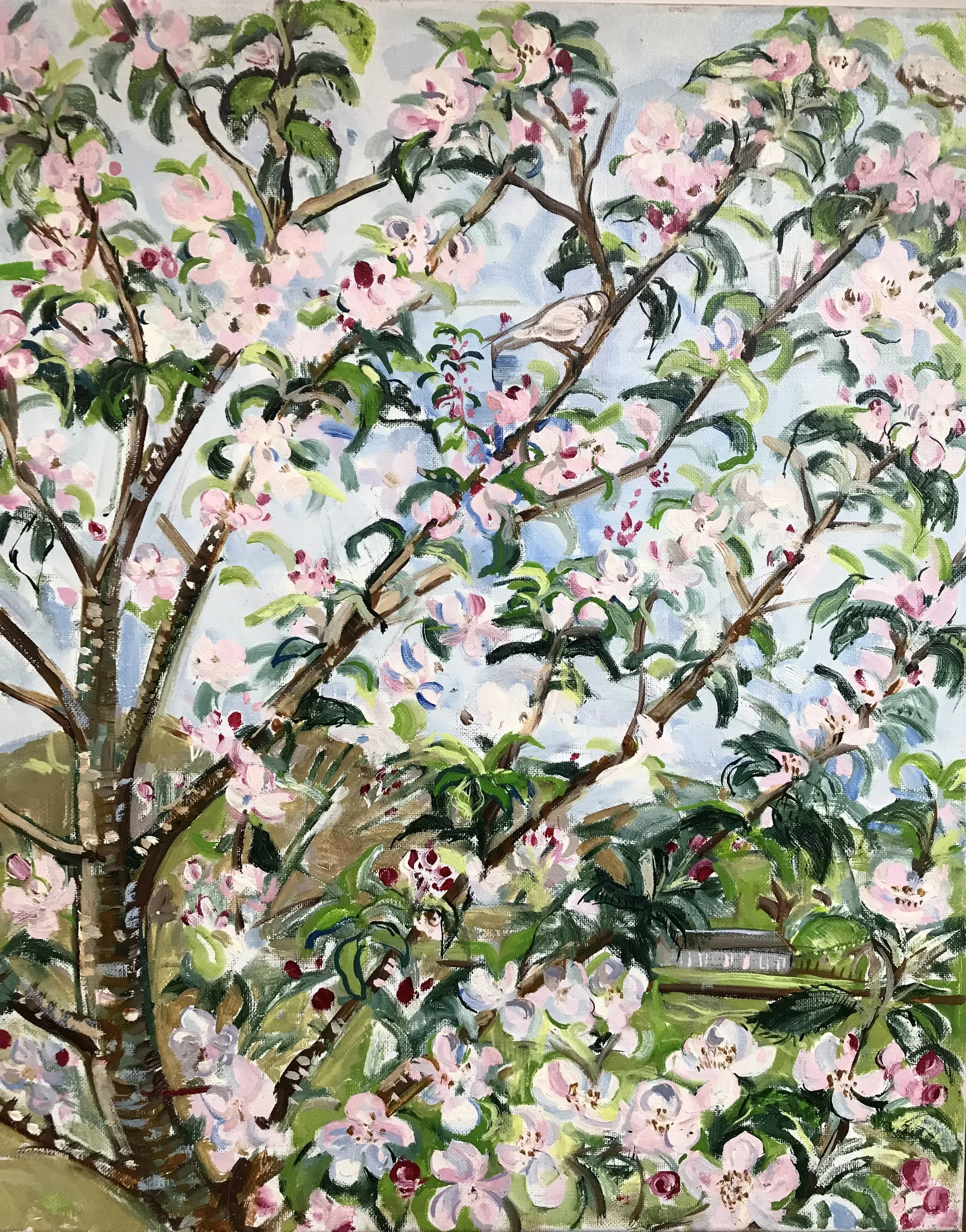 Spring Awakening, James Grieve Apple, oil on Fine Belgian Linen, 60 x 50cm, 2025, £2000