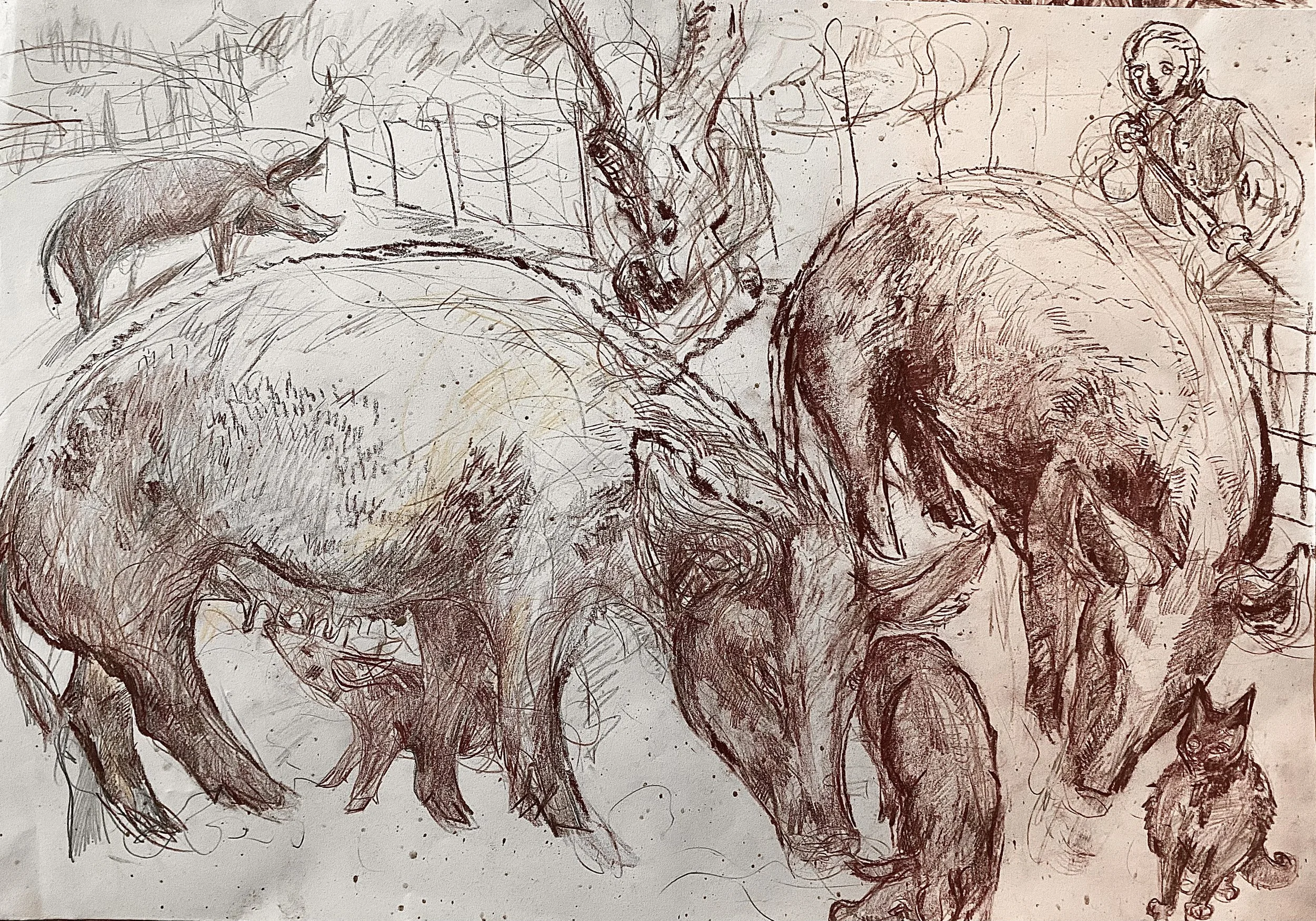 Tamworth Pigs, (Drawn at Scottish National Museum of Rural Life in East Kilbride) 
Red sanguine chalk on paper, £300