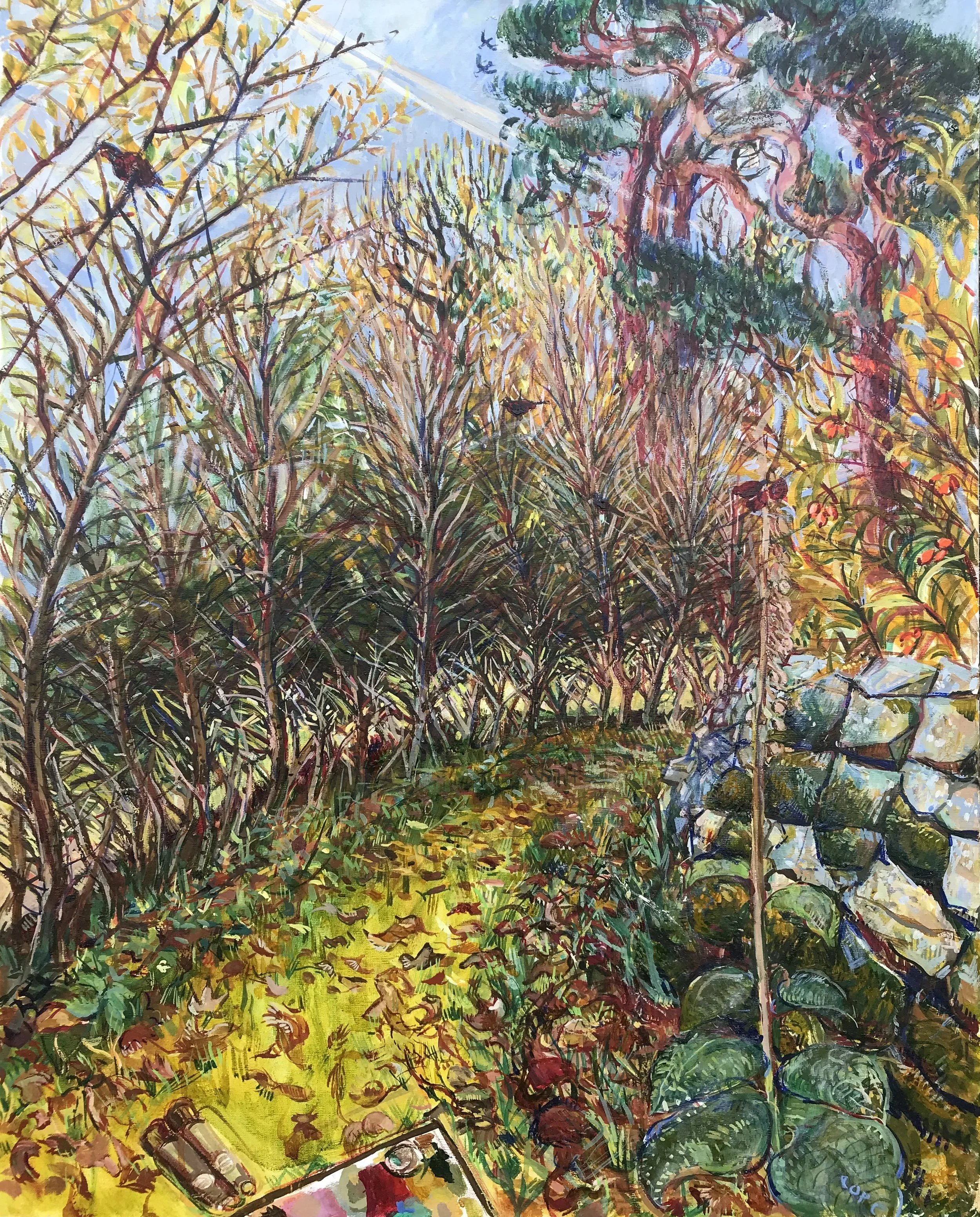 Hedge