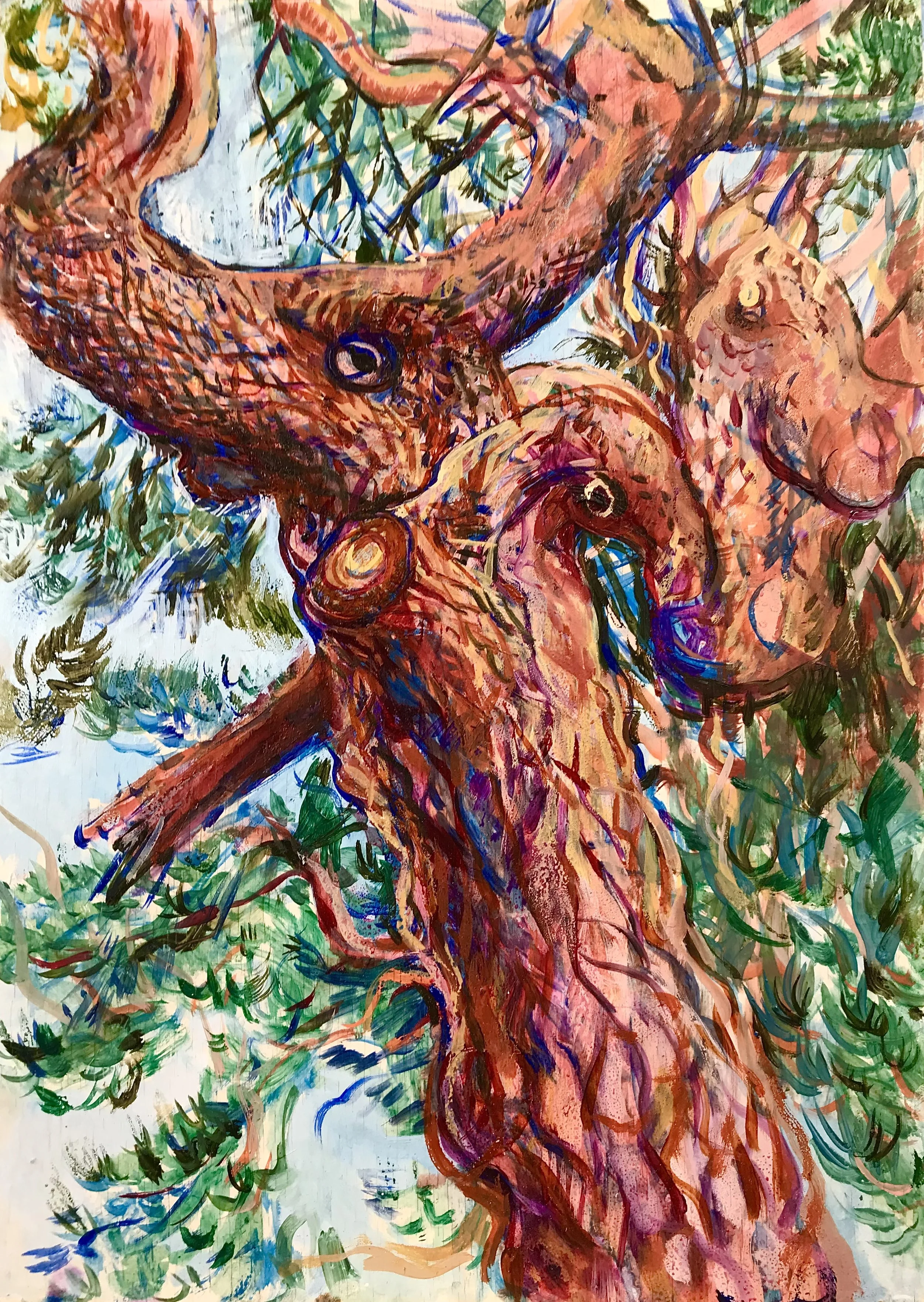 Scotspine Drumelzier, oil on gesso board, 40x 30cm, 2025 £750