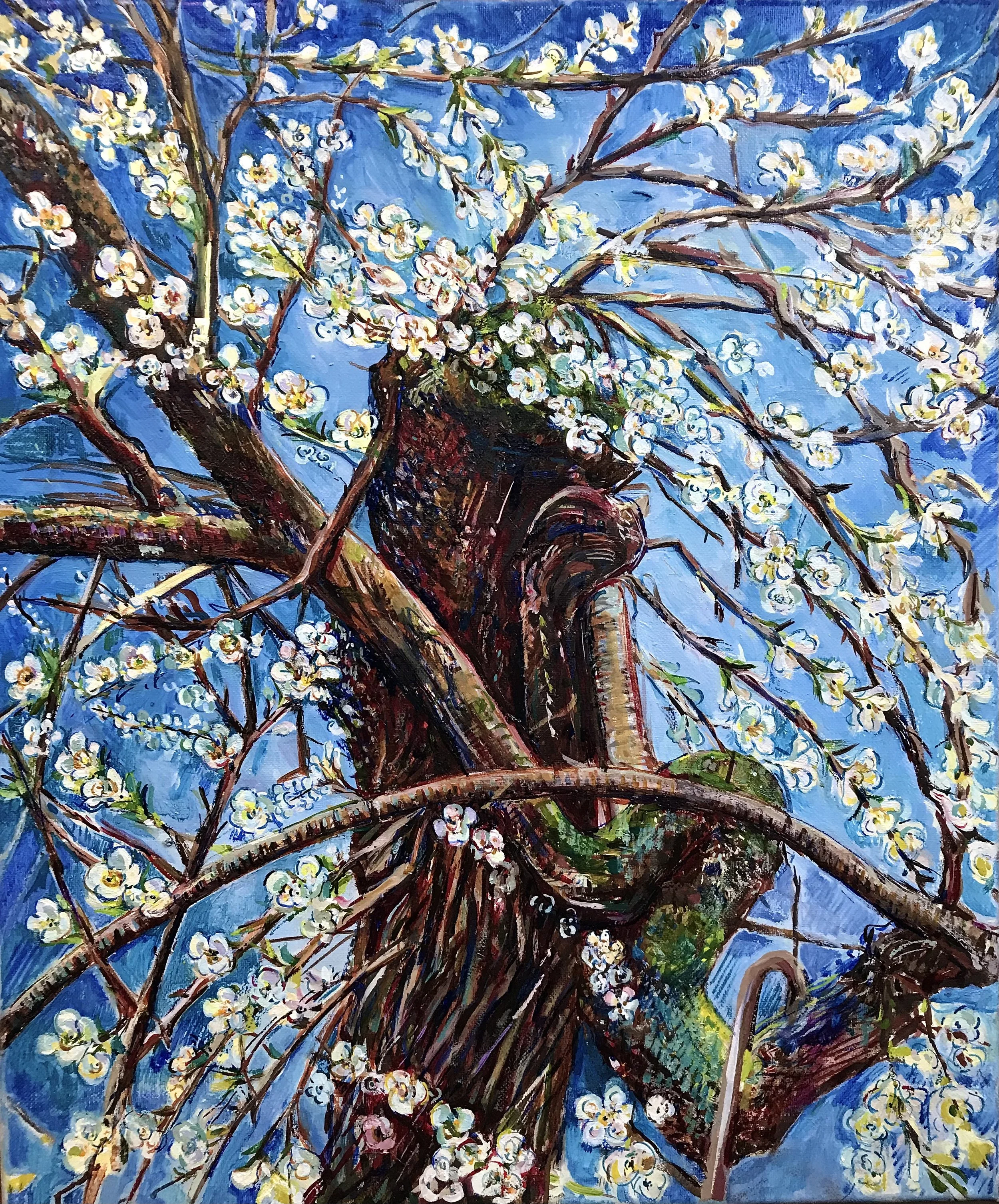 Spring Awakening Sakura, plum
Oil on linen, 60x50 £2500