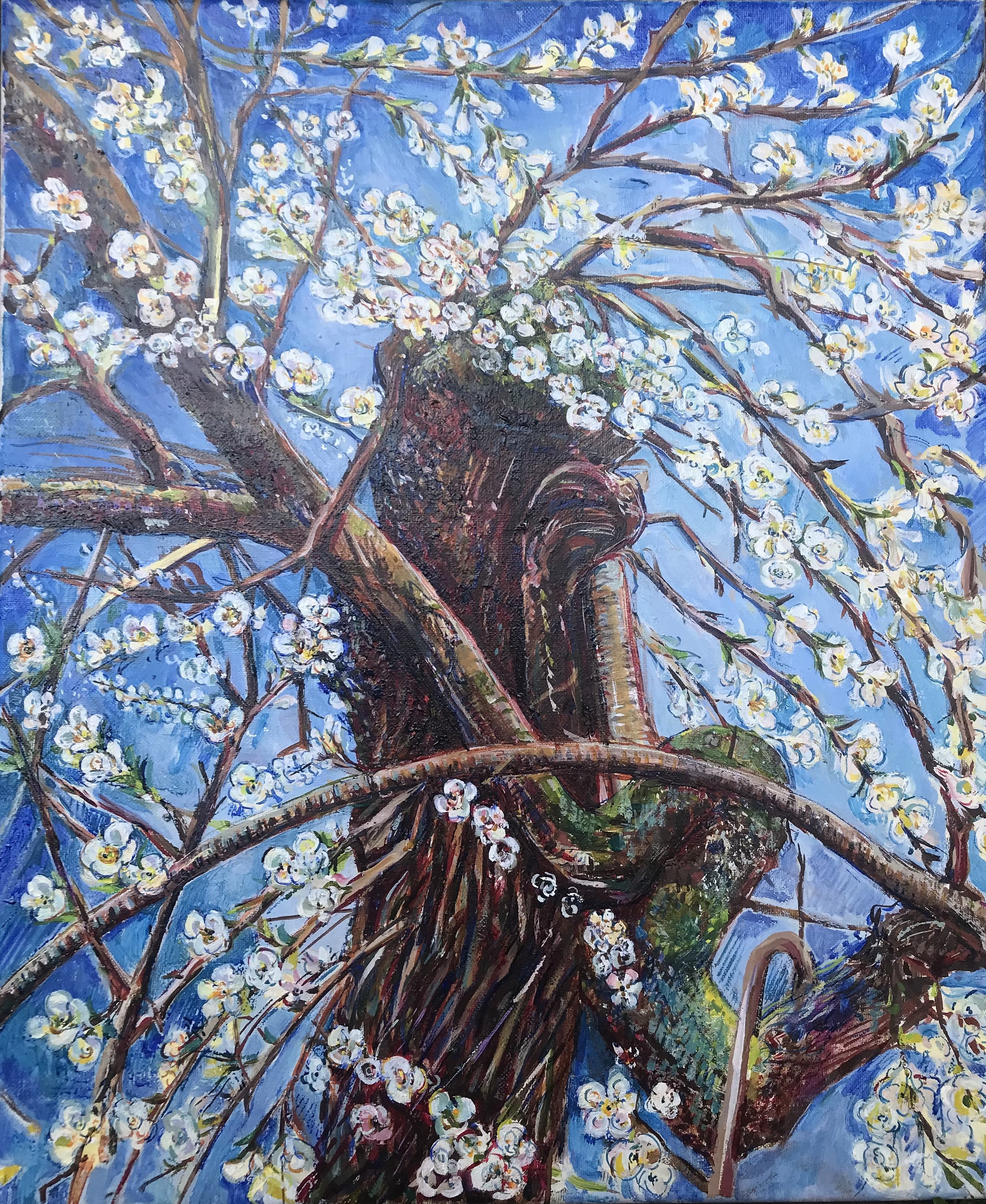 Spring Awakening Plum tree
Oil on linen, 60x50, £2500