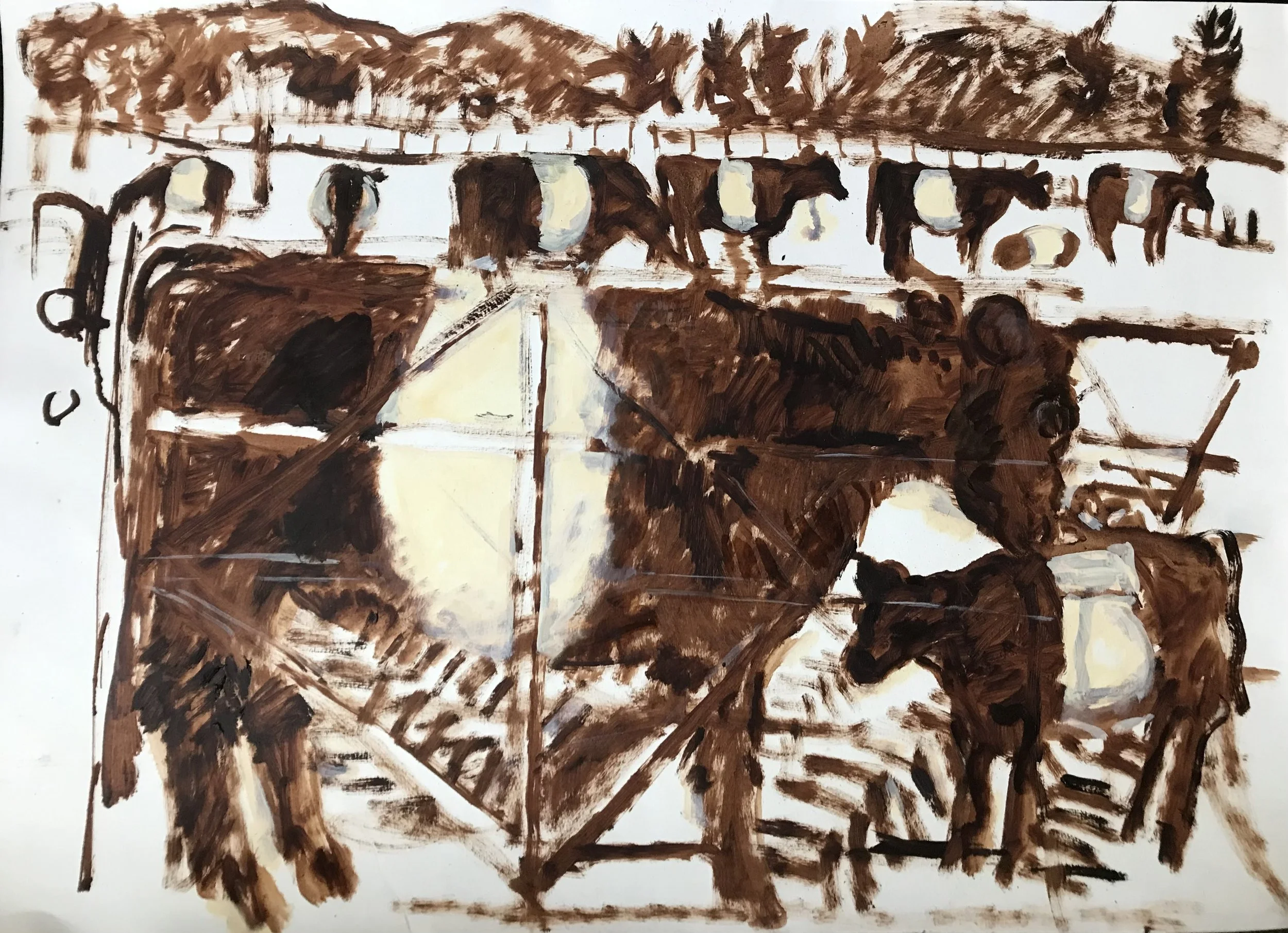 Belted Galloway -  Drawing - print idea 