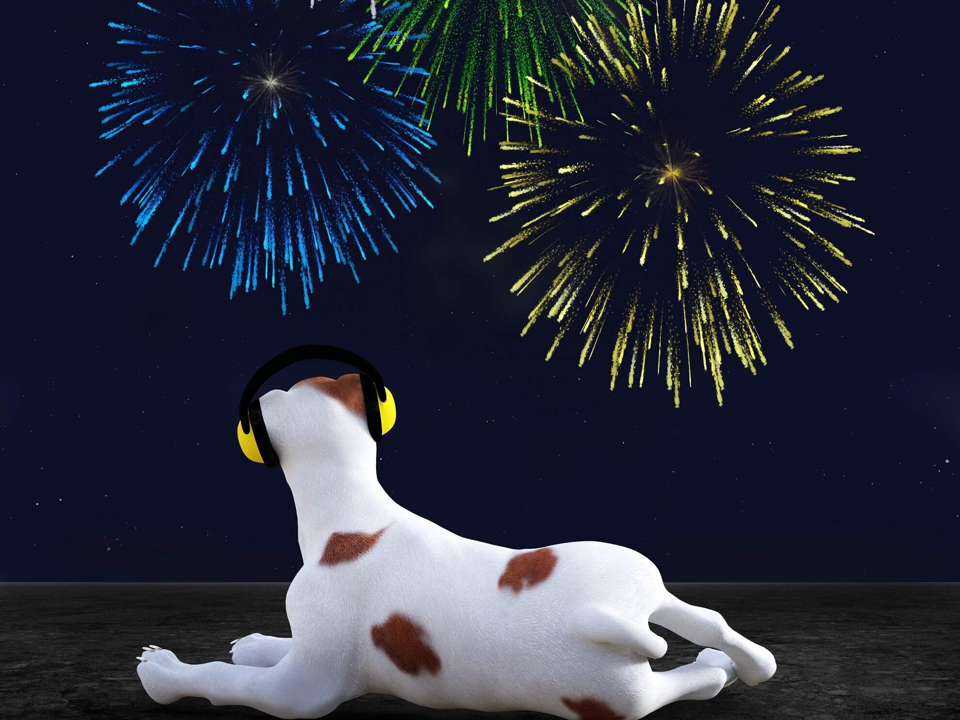 How To Help Your Dog With Fireworks