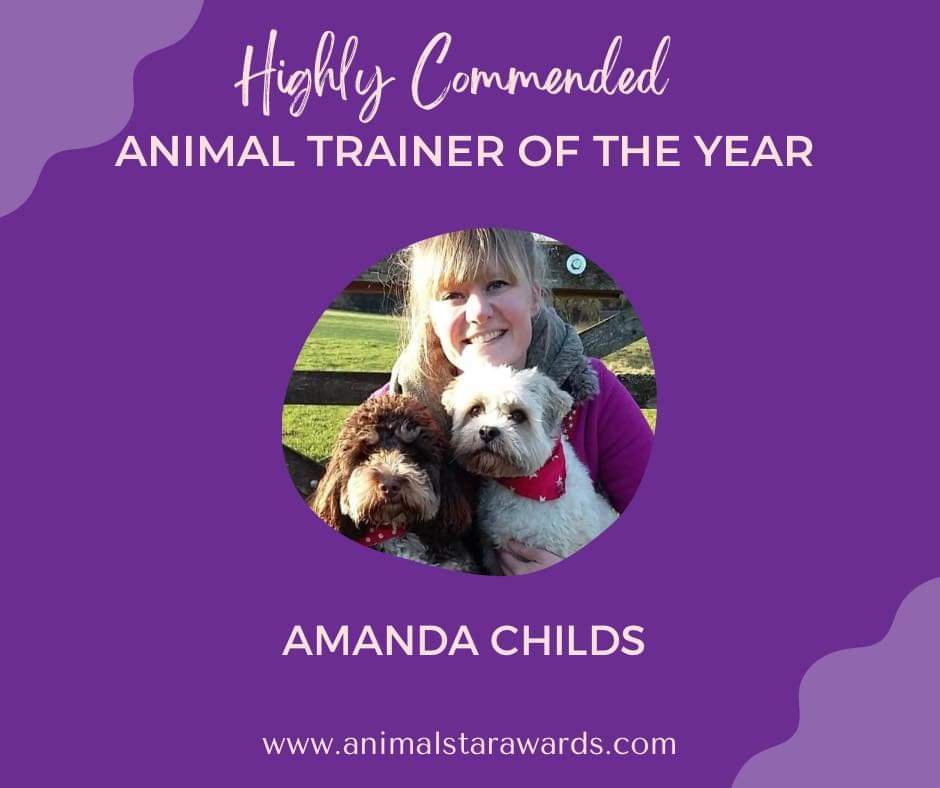 Highly Commended Animal Trainer Of The Year! — Happy Buddies