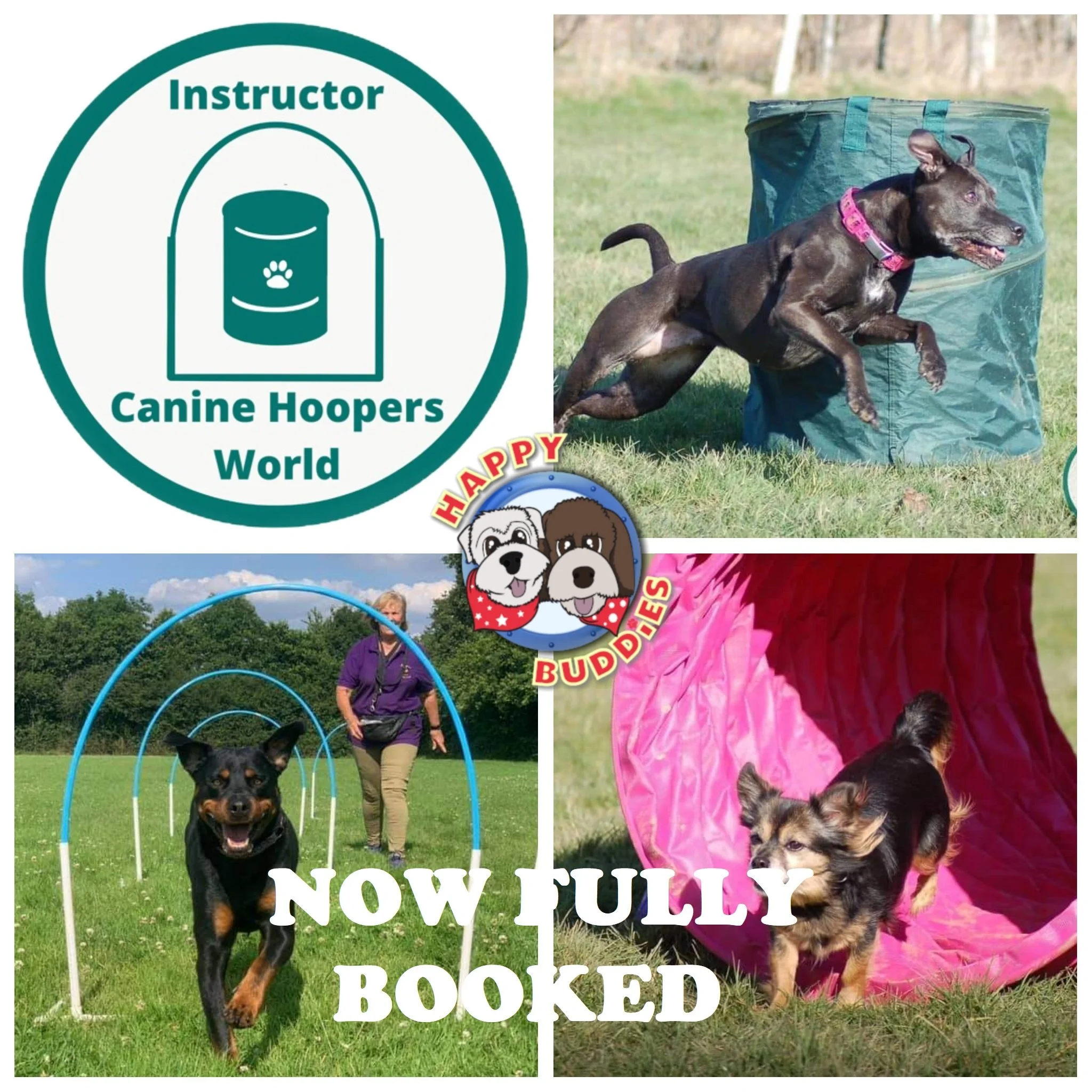 Canine Hoopers TASTER SESSION - Secure Field (just outside Charlwood)