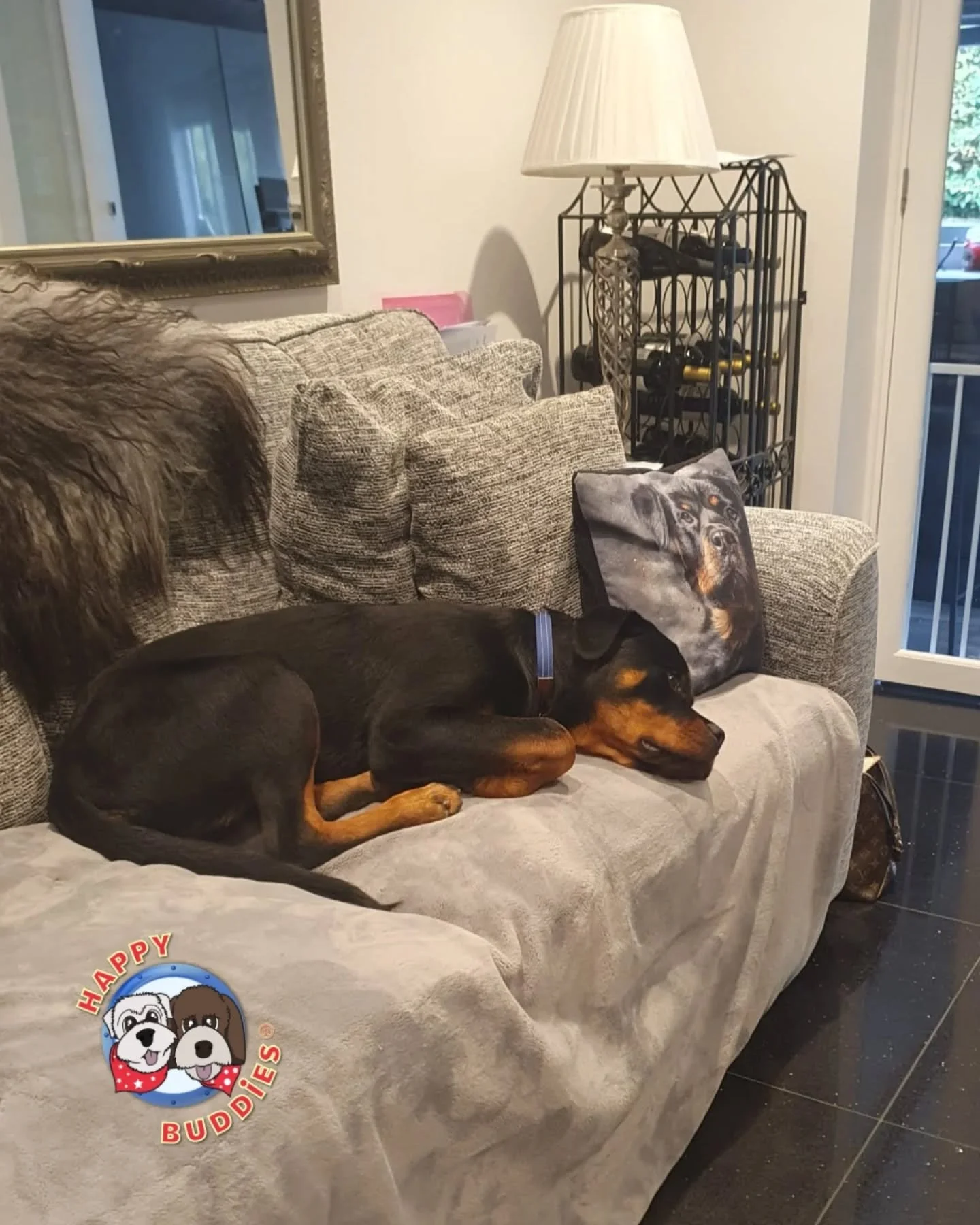 Boss 🥰😍🥰😍🥰

I LOVE this 6 month old soppy giant!! He's currently doing my Canine College course but today I got to see him again on a 121 basis (almost had him to myself but his parents didn't trust me not to make a run with him so they stayed c