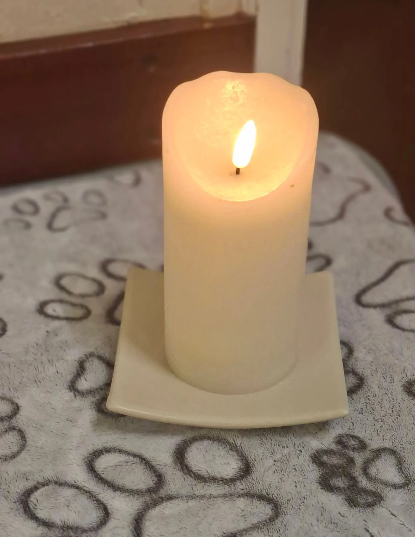 Tonight was one of the hardest classes I've ever run. 

I got a devastating call this morning from one of my puppy parents due to attend their week 5 puppy class tonight to say their beautiful puppy had been involved in a road traffic collision on Mo