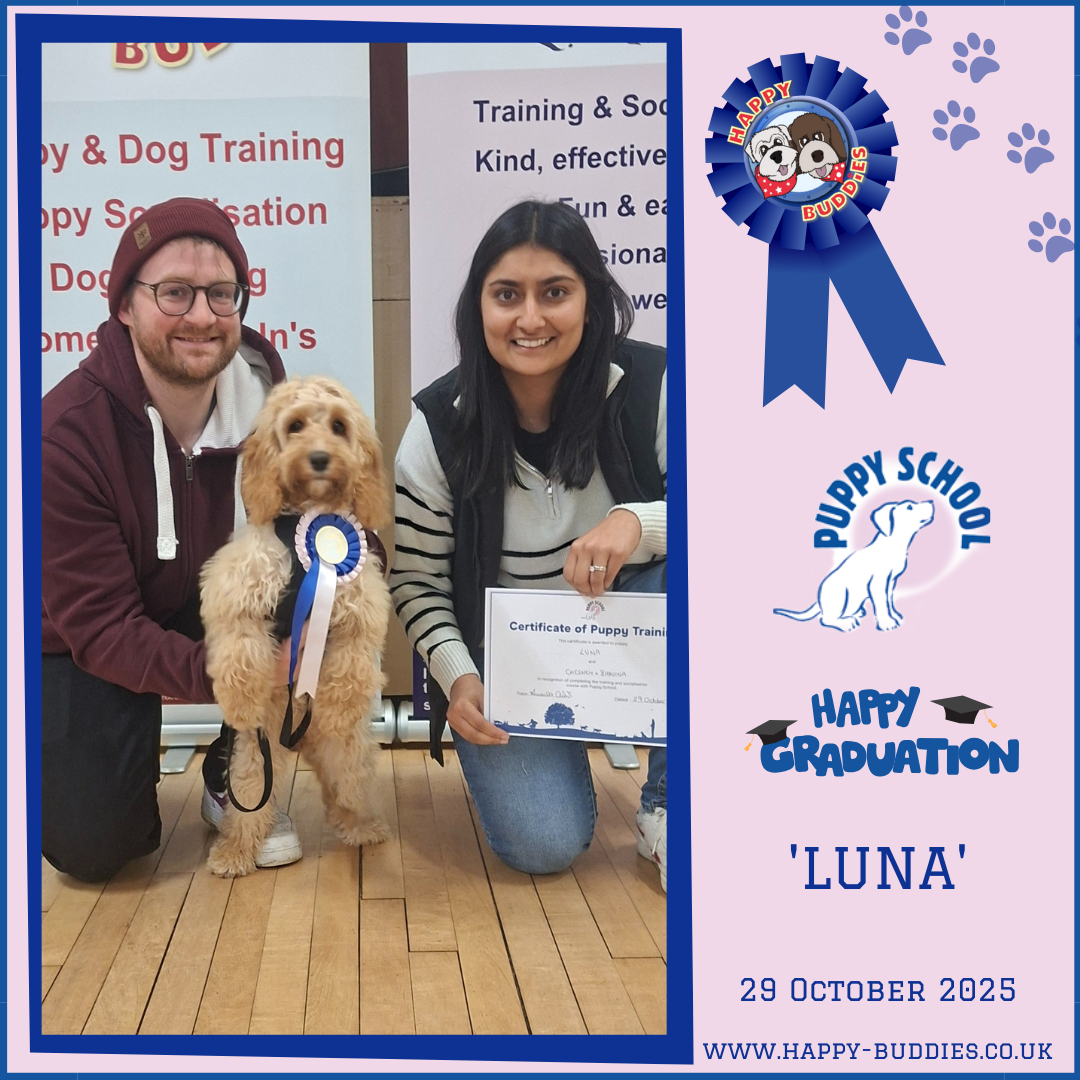 - Chesney &amp; Luna