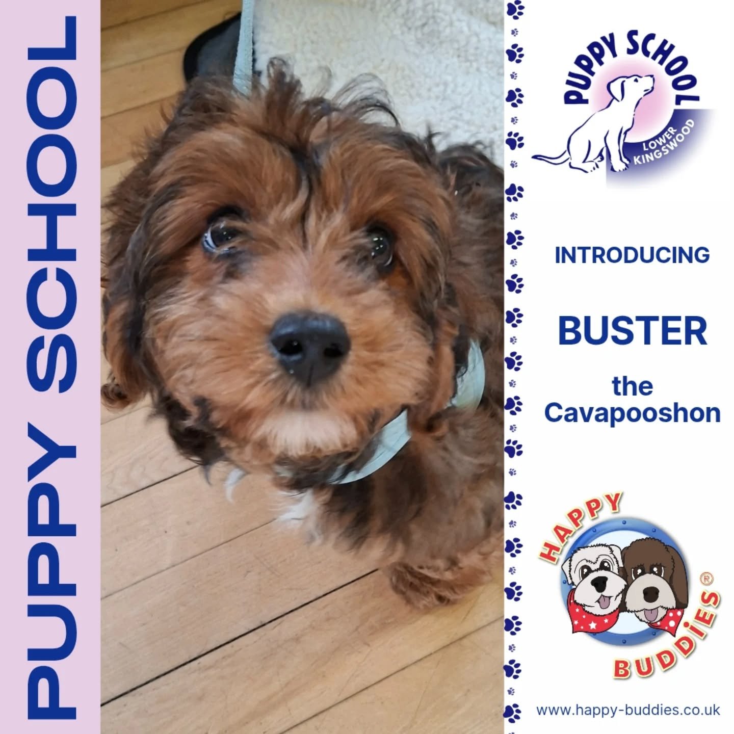 🐶 𝗪𝗲𝗹𝗰𝗼𝗺𝗲 𝘁𝗼 𝗣𝘂𝗽𝗽𝘆 𝗦𝗰𝗵𝗼𝗼𝗹! 🐶

Hello Puppies!

We had a new Puppy School course start this morning in Lower Kingswood and boy this lot are adorable!!! 

A lovely mix of breeds/crossbreeds which is great as I love variety! Here th