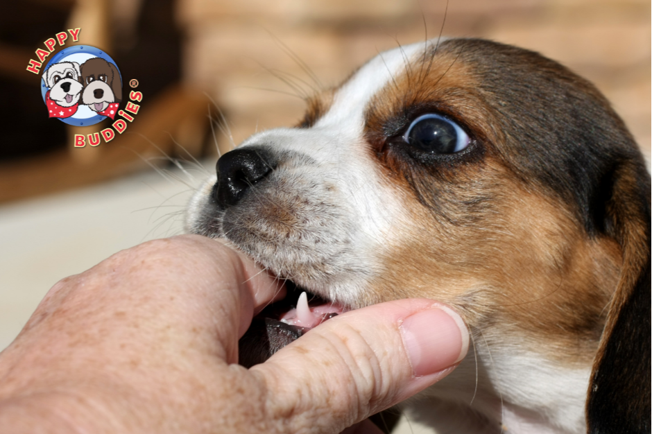 Blue+Illustrative+Dog+Lovers+Thank+You+5K+followers+Instagram+Post+%283%29.png