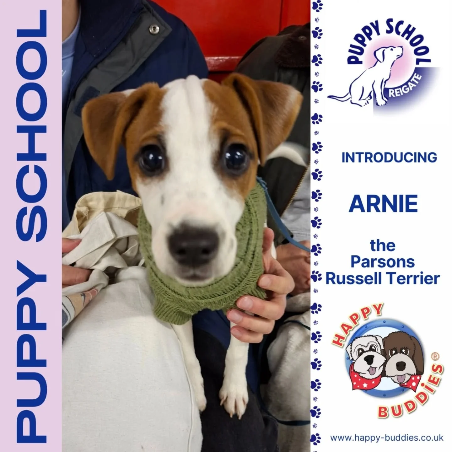 🐶 𝗪𝗲𝗹𝗰𝗼𝗺𝗲 𝘁𝗼 𝗣𝘂𝗽𝗽𝘆 𝗦𝗰𝗵𝗼𝗼𝗹! 🐶

Last night in Reigate we welcomed a very sweet bunch of puppies to our first Puppy School course of 2026 and here they are! 

Aren't they delicious! 🐶

#PuppySchool #HappyBuddies #PuppyTraining #Re