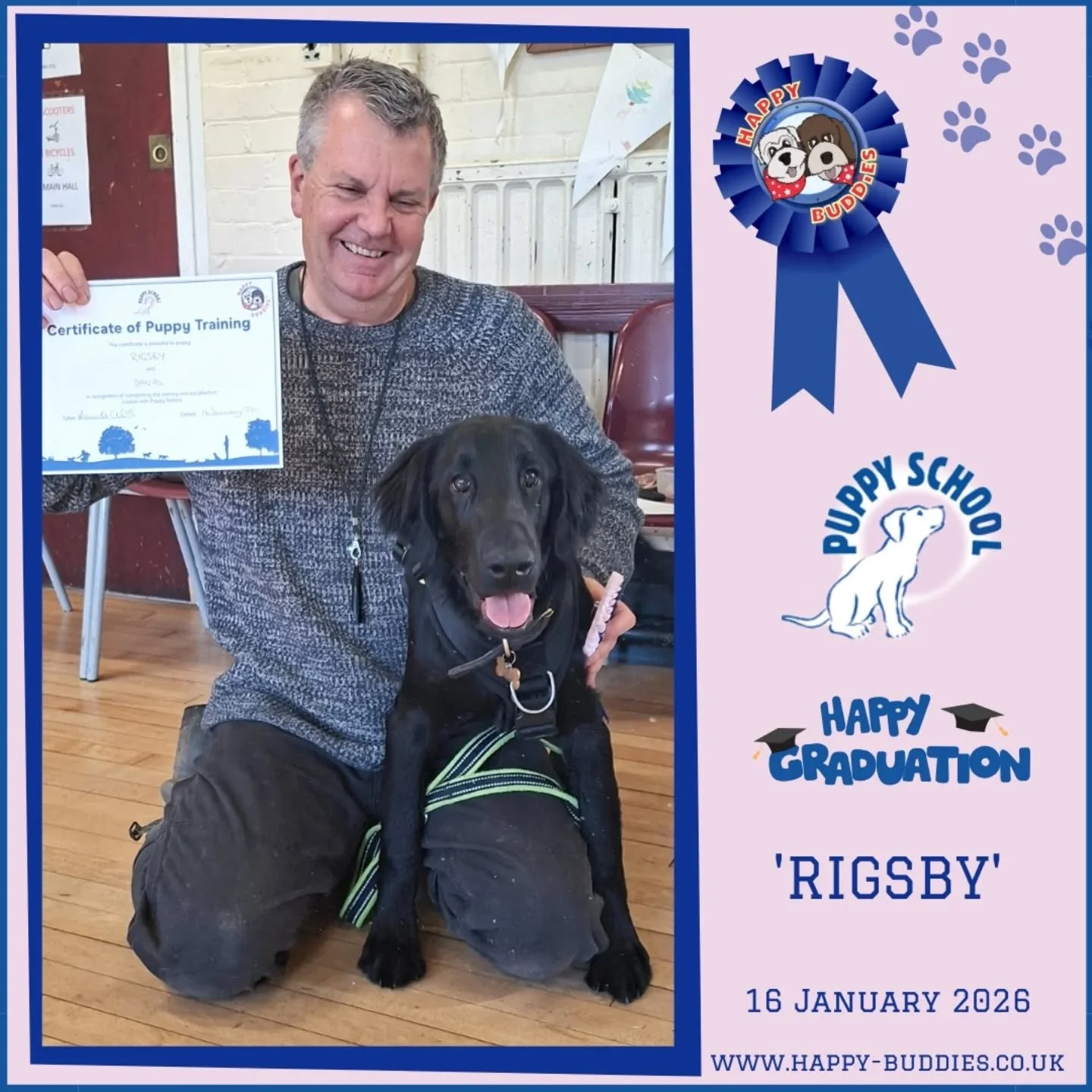 🎓🐾 𝗢𝘂𝗿 𝗣𝘂𝗽𝗽𝘆 𝗦𝗰𝗵𝗼𝗼𝗹 𝗚𝗿𝗮𝗱𝘂𝗮𝘁𝗲𝘀! 🐾🎓

A massive congratulations to 𝗕𝘂𝘀𝘁𝗲𝗿, brothers 𝗖𝗵𝗲𝘀𝘁𝗲𝗿 and 𝗖𝗼𝗼𝗽𝗲𝗿, 𝗝𝗶𝗻𝘅, 𝗥𝗶𝗴𝘀𝗯𝘆 and 𝗥𝗼𝗱𝗻𝗲𝘆 for successfully completing their Puppy School course at Happy 