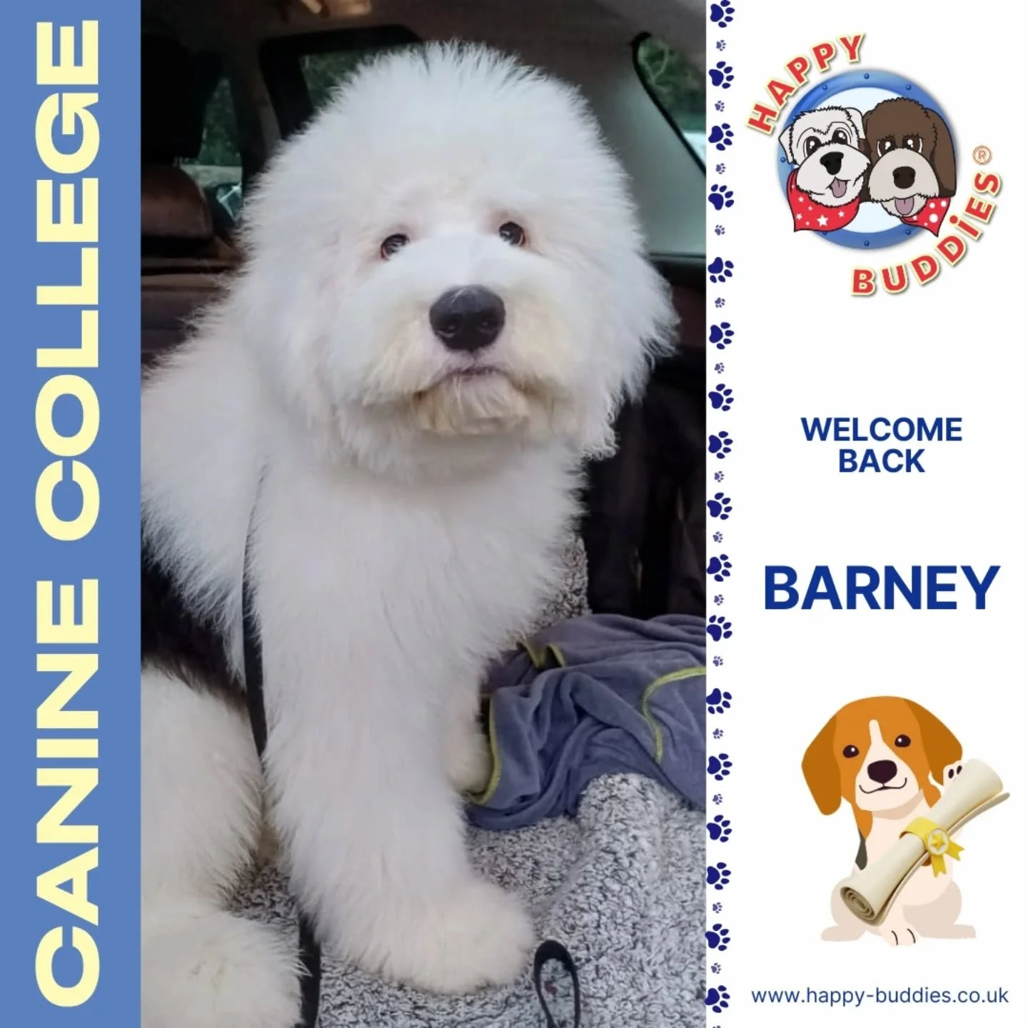 🐶📜 𝗪𝗲𝗹𝗰𝗼𝗺𝗲 𝗕𝗮𝗰𝗸 𝗧𝗼 𝗖𝗮𝗻𝗶𝗻𝗲 𝗖𝗼𝗹𝗹𝗲𝗴𝗲 📜

Last night in Brockham, we also welcomed back our newest Canine College students who are keen to progress their learning after competing their Puppy School foundation course!

This is 