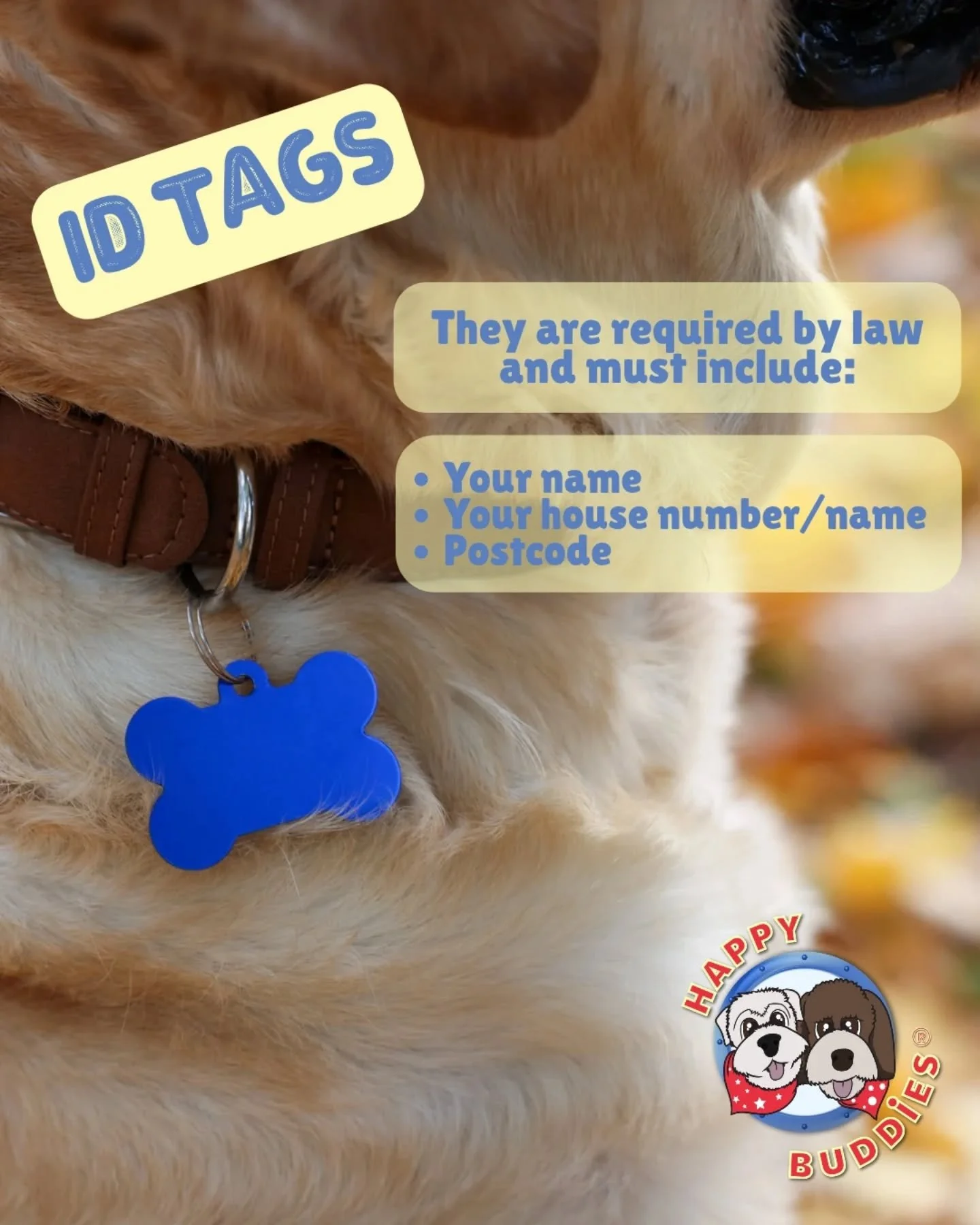 ℹ️ 𝗗𝗼𝗴 𝗜𝗗 𝗧𝗮𝗴𝘀 𝗮𝗻𝗱 𝗨𝗞 𝗟𝗮𝘄 🇬🇧

Did you know that in the UK your dog must wear an 𝗜𝗗 𝘁𝗮𝗴 when out in public and that it&rsquo;s not just good practice - it&rsquo;s the law?

𝗛𝗲𝗿𝗲&rsquo;𝘀 𝗪𝗵𝗮𝘁 𝗬𝗼𝘂 𝗡𝗲𝗲𝗱 𝘁𝗼 𝗞𝗻𝗼