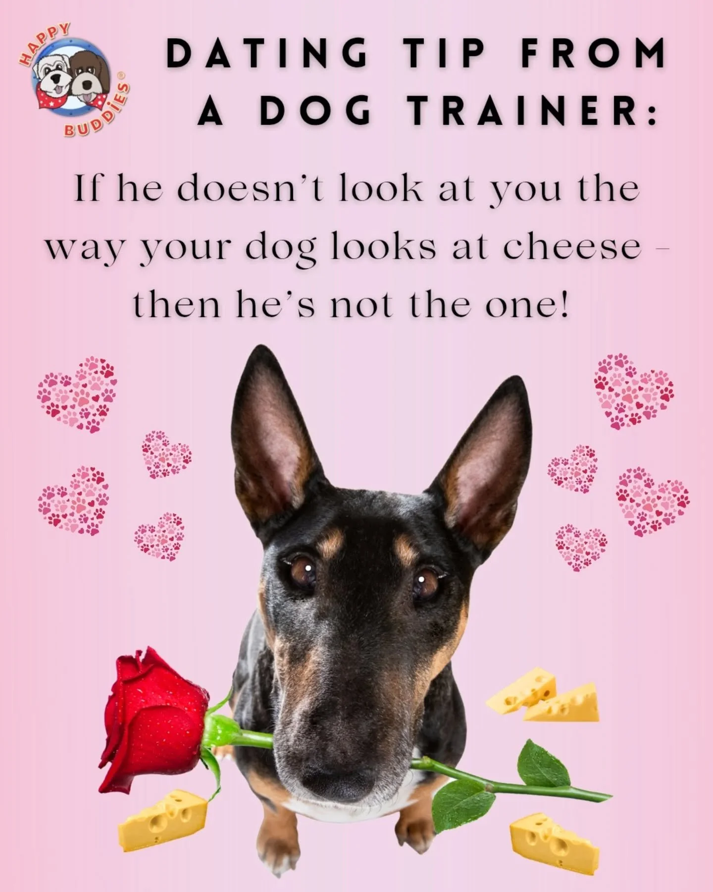 ❤️ 𝙃𝙖𝙥𝙥𝙮 𝙑𝙖𝙡𝙚𝙣𝙩𝙞𝙣𝙚𝙨 𝘿𝙖𝙮 ❤️

#ValentinesDay #PuppyLove #DatingTip #Love
