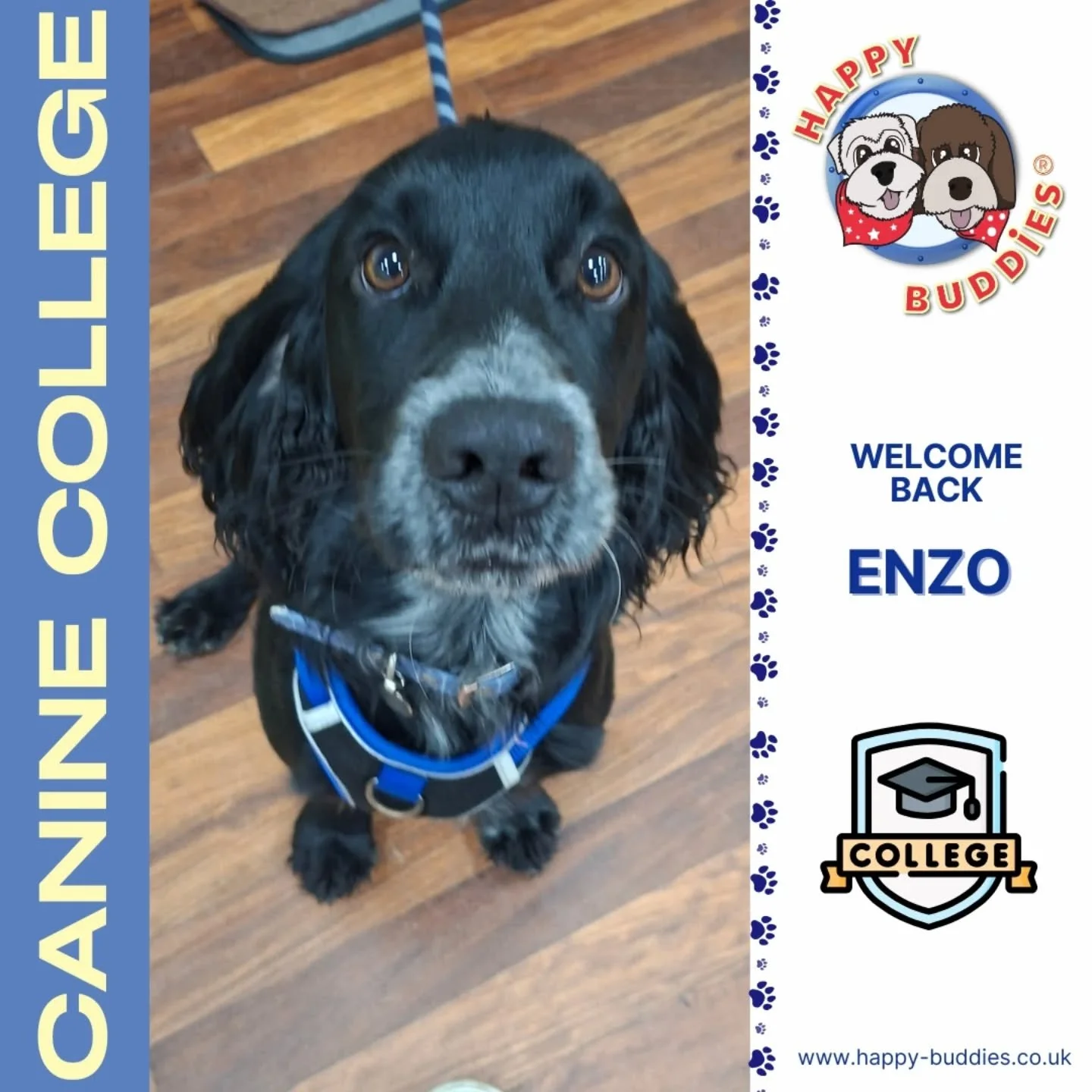 🐶📜 𝗪𝗲𝗹𝗰𝗼𝗺𝗲 𝗕𝗮𝗰𝗸 𝗧𝗼 𝗖𝗮𝗻𝗶𝗻𝗲 𝗖𝗼𝗹𝗹𝗲𝗴𝗲 📜🐶

We also welcomed back our new group of Canine College students last night! I'm excited to see what this group can achieve - I've got high hopes for them! 😀

Welcome back Enzo, Remi,