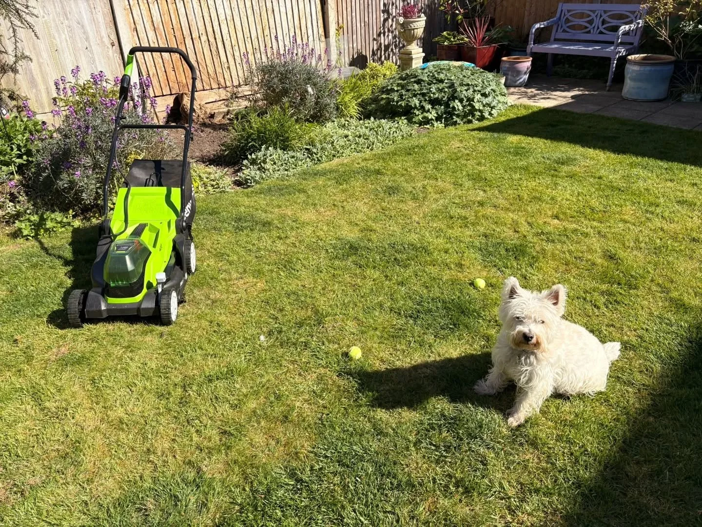 Another lovely message to have received today from a client I worked with 2 years ago ❤️.

"𝘏𝘪 𝘈𝘮𝘢𝘯𝘥𝘢. 𝘑𝘶𝘴𝘵 𝘸𝘢𝘯𝘵𝘦𝘥 𝘵𝘰 𝘥𝘳𝘰𝘱 𝘢 𝘲𝘶𝘪𝘤𝘬 𝘮𝘦𝘴𝘴𝘢𝘨𝘦 𝘵𝘰 𝘵𝘩𝘢𝘯𝘬 𝘺𝘰𝘶 𝘢𝘨𝘢𝘪𝘯 𝘧𝘰𝘳 𝘢𝘭𝘭 𝘵𝘩𝘦 𝘵𝘳𝘢𝘪𝘯𝘪𝘯