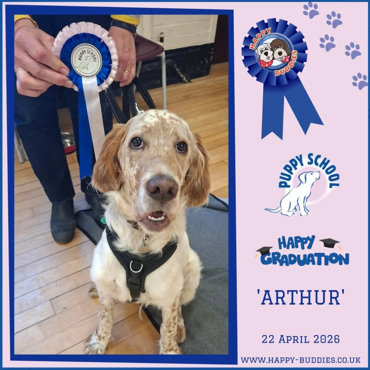 🐶🎓 𝗣𝘂𝗽𝗽𝘆 𝗦𝗰𝗵𝗼𝗼𝗹 𝗚𝗿𝗮𝗱𝘂𝗮𝘁𝗲𝘀 🎓🐶

Tonight was GRADUATION night for Ginny, Luna and Winston! Arthur and Maisie from this group technically graduated last week as they are both on holiday this week and sadly Alfie couldn't be with u