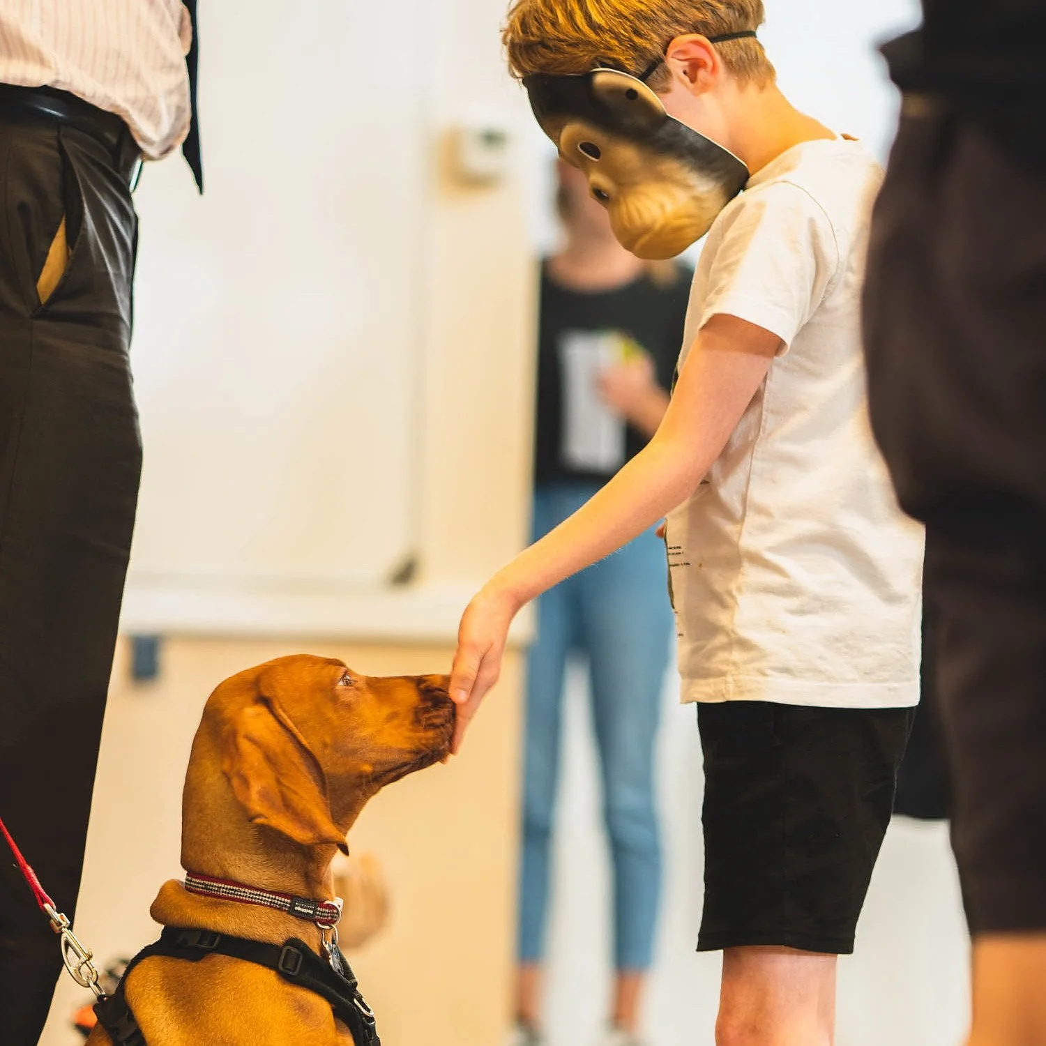 Puppy School Course - Lower Kingswood Church Hall (close to Reigate Hill) - 1 SPACE LEFT!