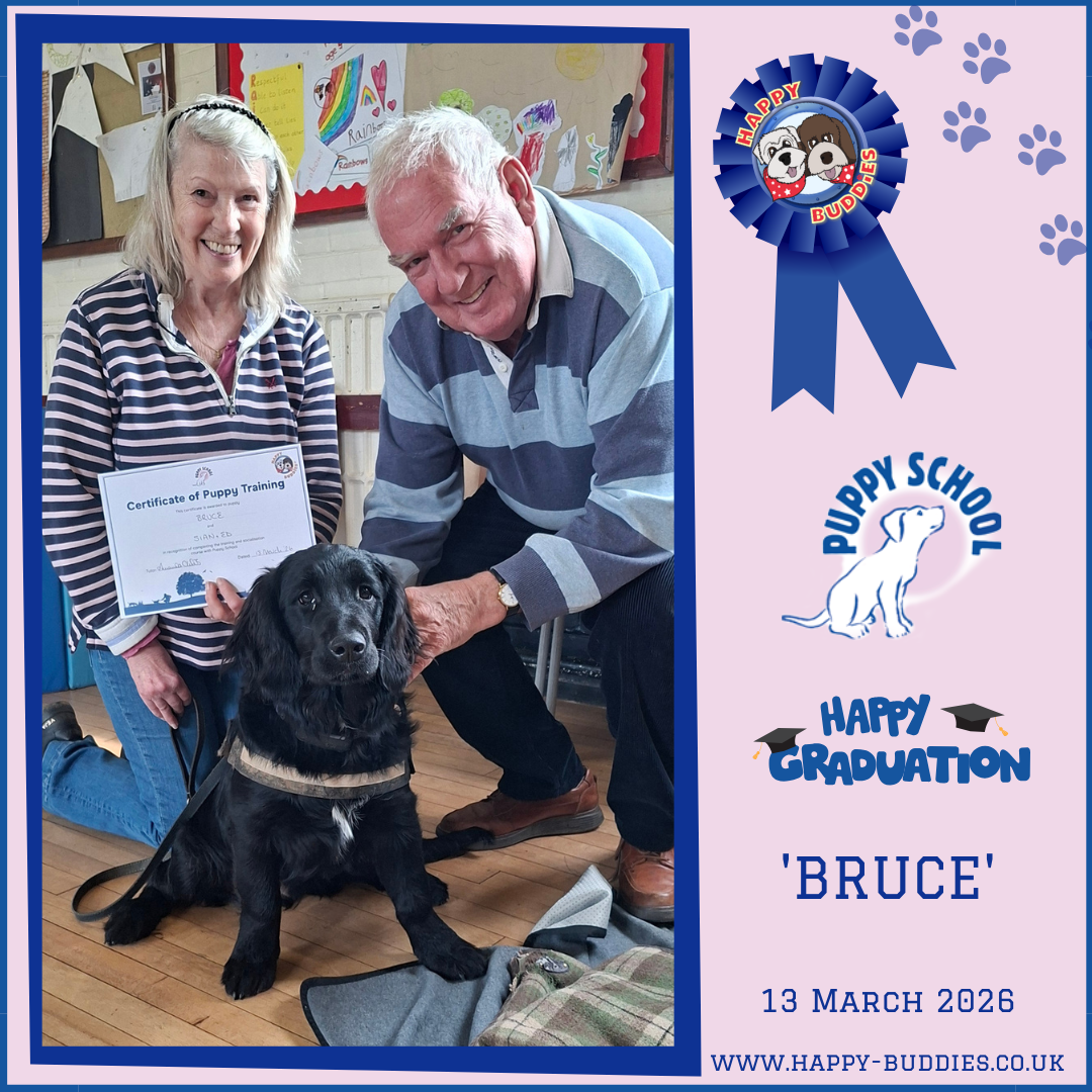 - Sian &amp; Bruce