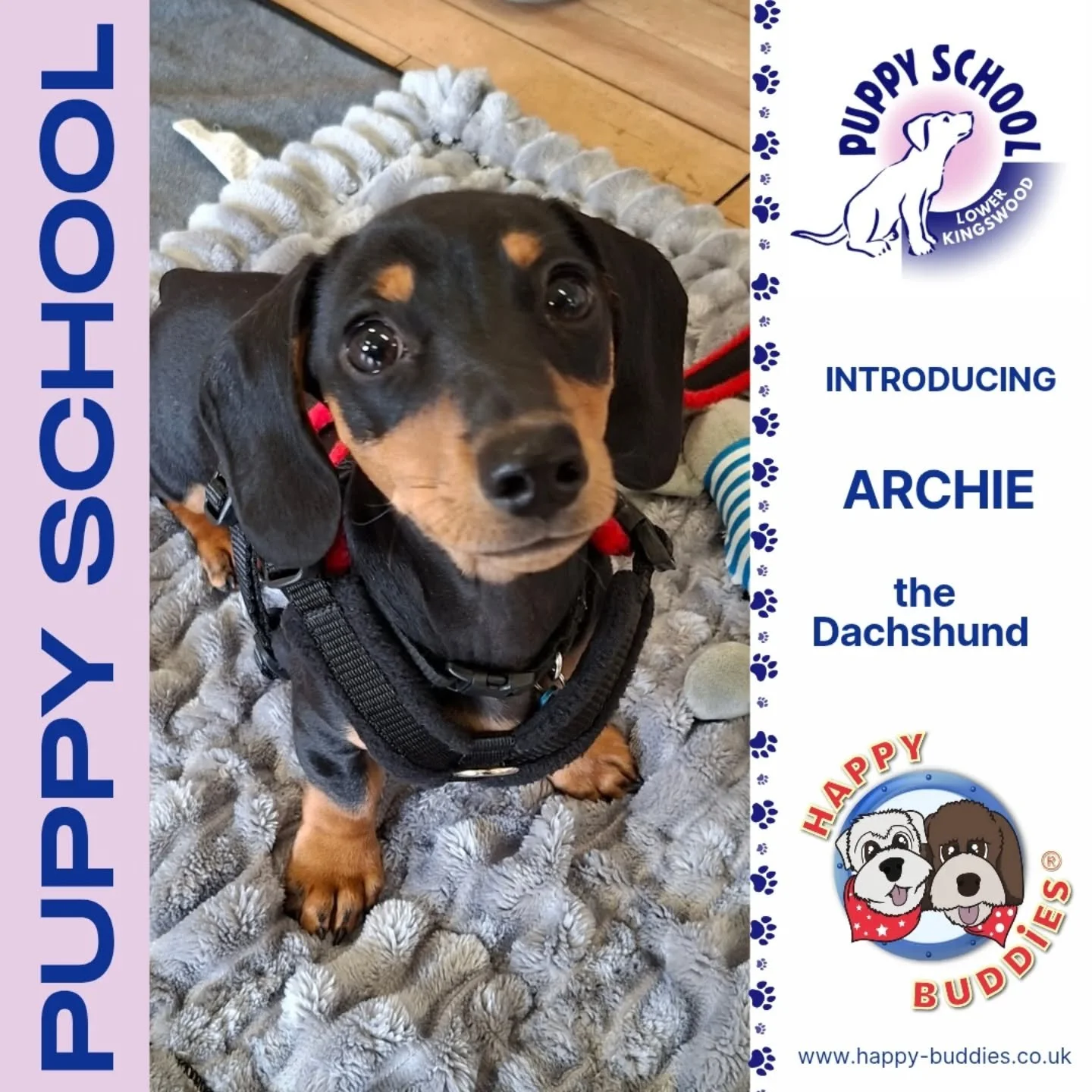 Oooooh what a lovely group of puppies I met this morning for their first Puppy School class!

It's a lovely small intimate group of 4 and all different breeds too! 

Are you looking forward to following their puppy training journey as much as me!

We