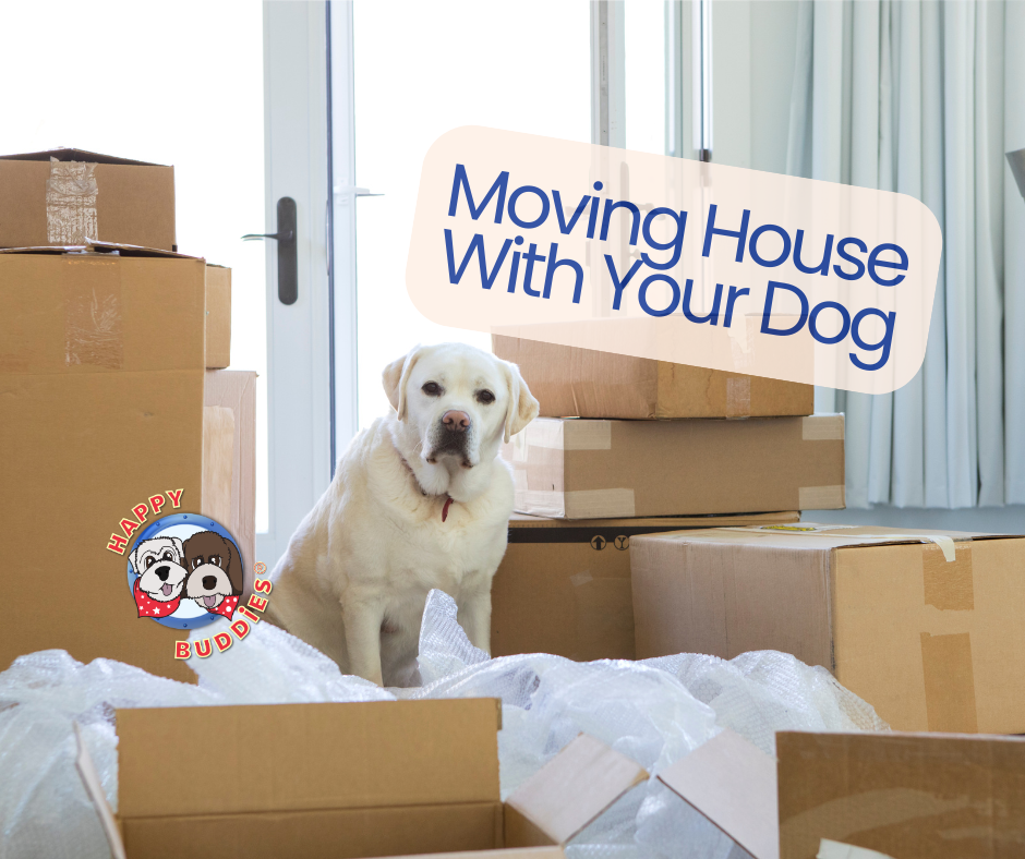 Moving House With Your Dog. 
