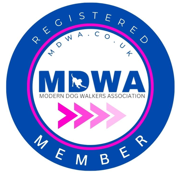 MDWA Member Logo.png