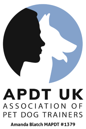APDT+Logo+With+Amanda+At+Bottom-01 (1).png