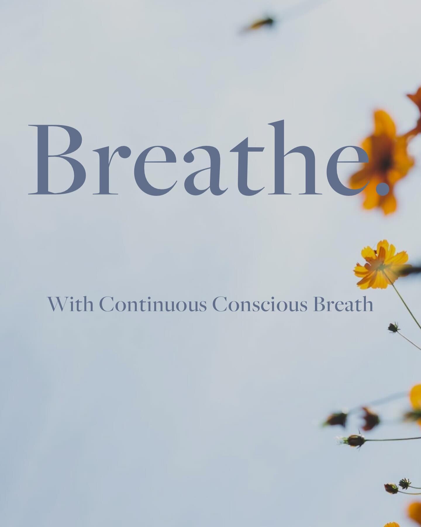 Next group breathwork SUNDAY,MARCH 24th 7pm

Breathwork: Experience it to understand.

💛 Process grief.
💛Calm your negative thoughts, quiet your busy mind, stabilize your emotions, and cultivate a profound feeling of tranquility inside.
💛Help you 