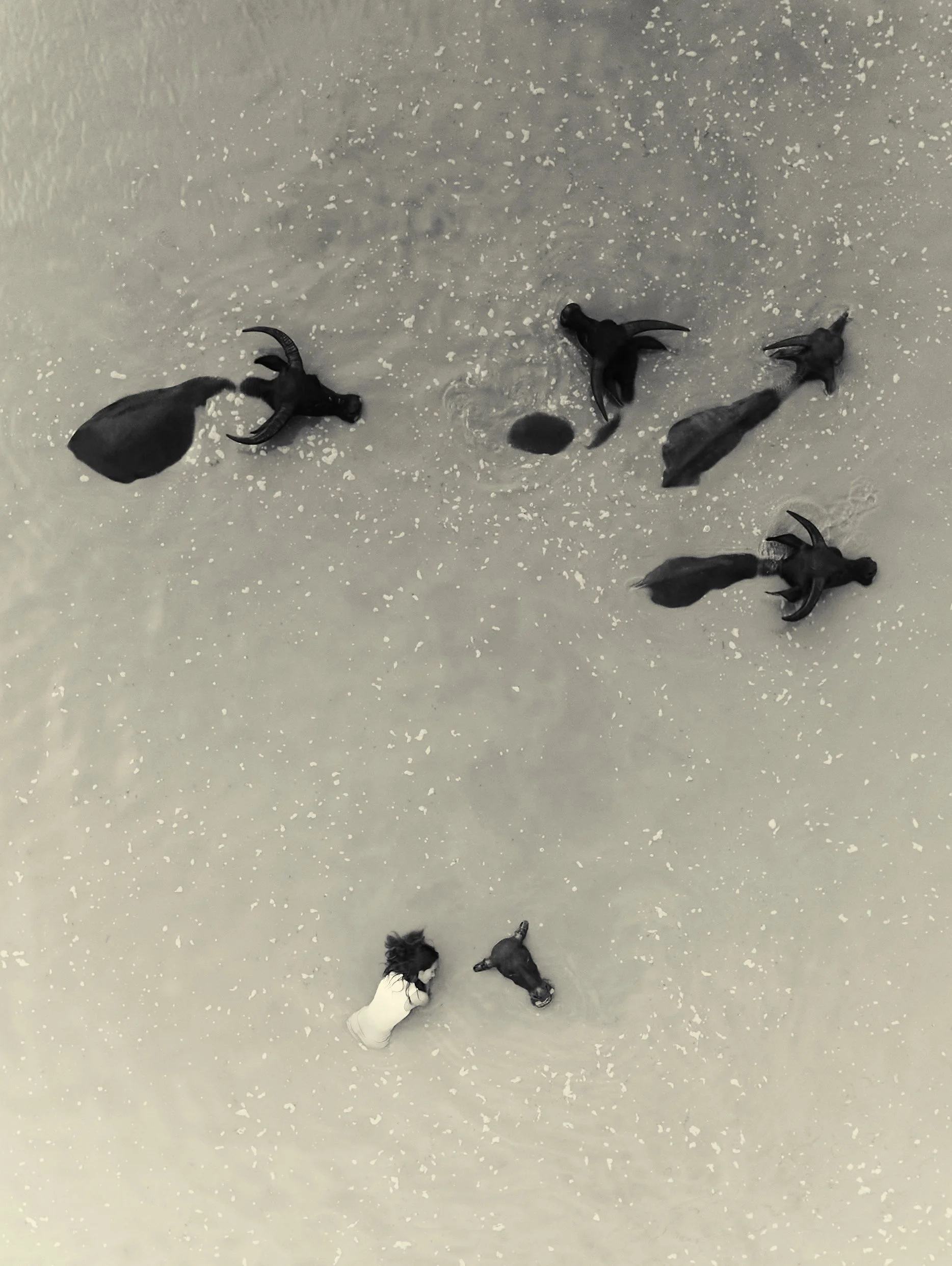 DJI_20260321160706_0339_D.jpg