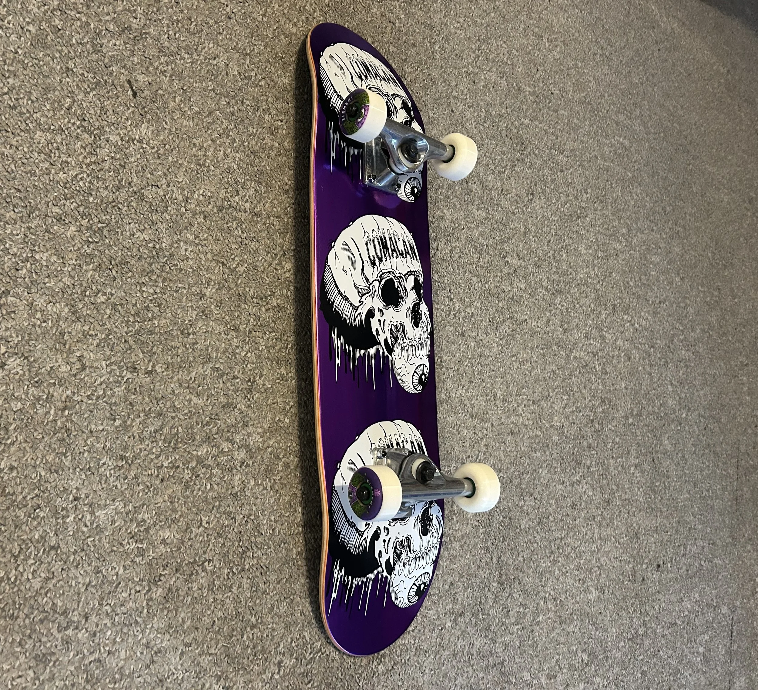 IMG_2593.jpeg