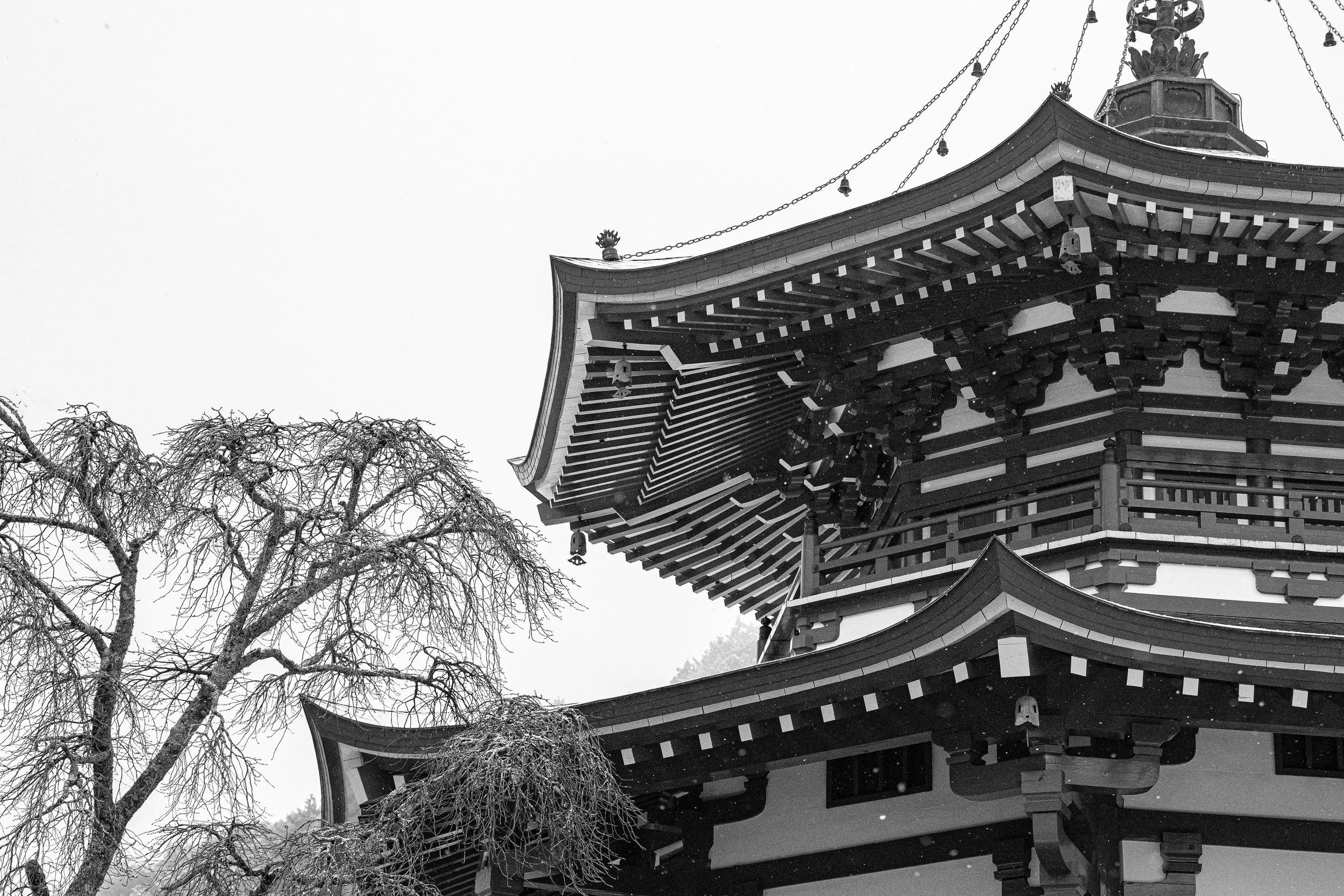 Temple, Koyasan