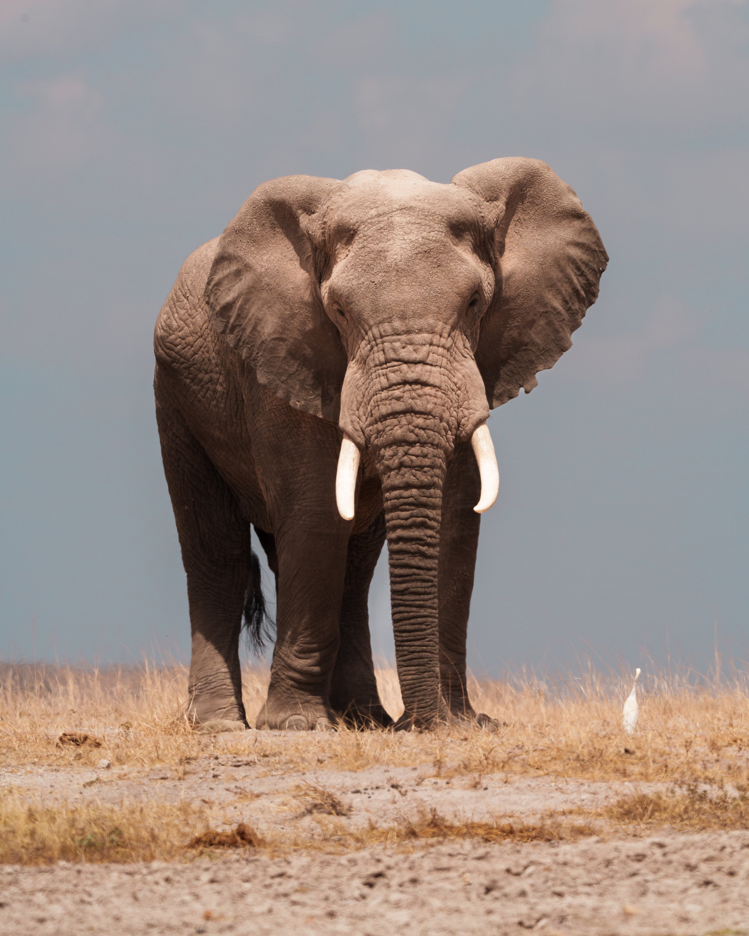 KapturedTraveling_Africa_firstweb-50.jpg
