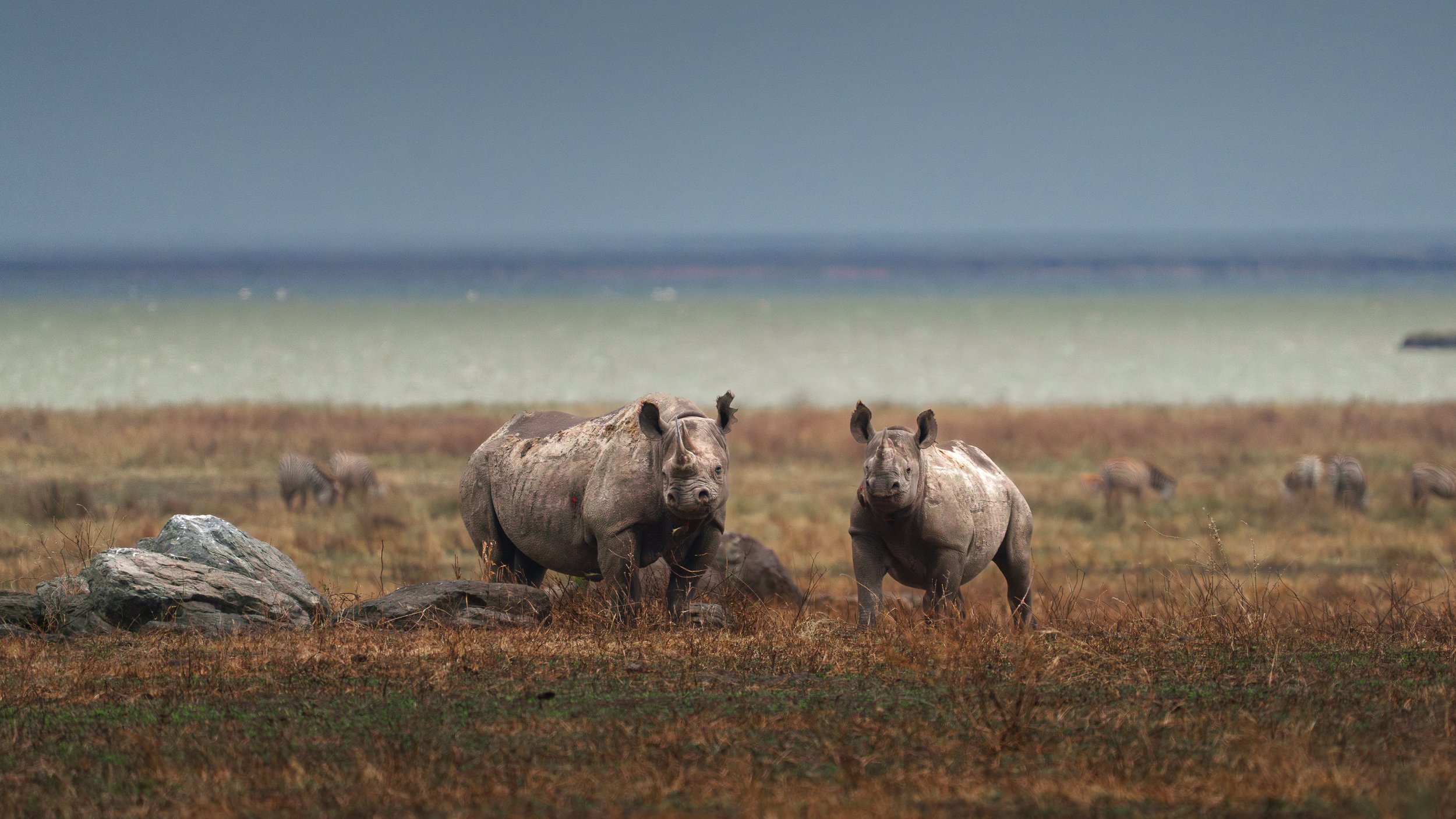 KapturedTraveling_Africa_firstweb-53.jpg