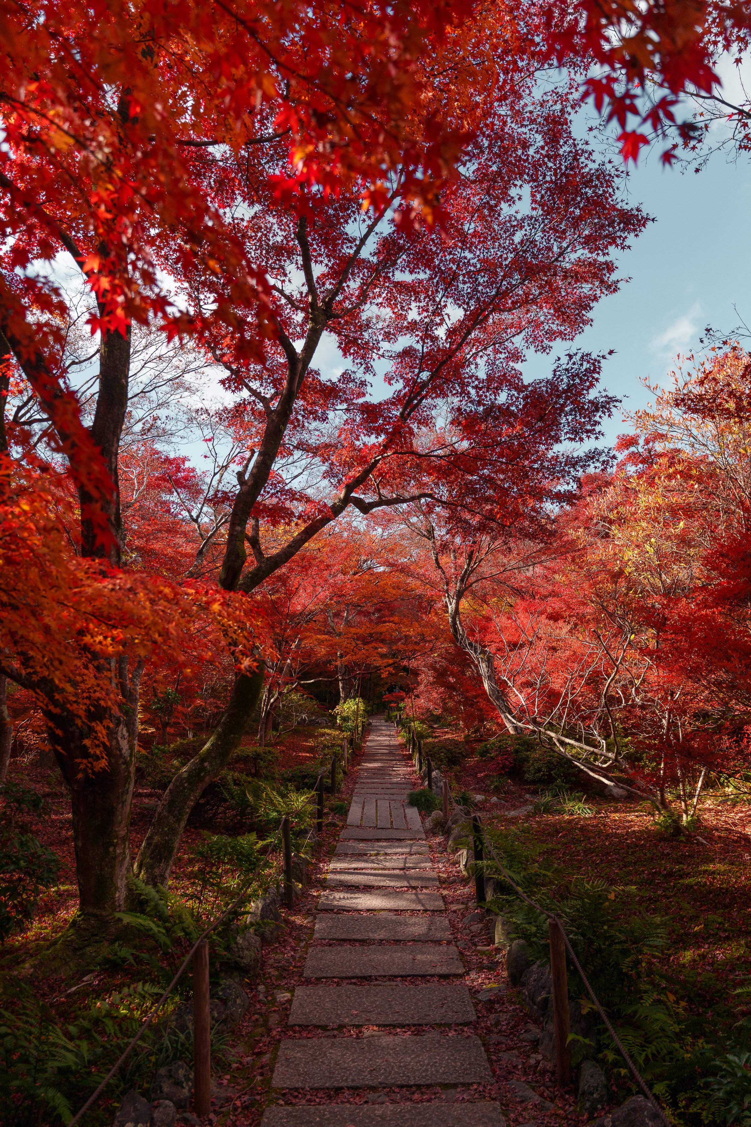Japanese Garden, Kyoto