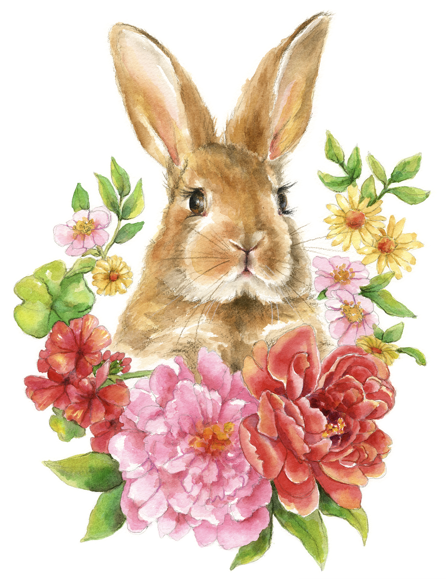 T.J.Maxx / Marshalls / HomeGoods – Kitchen Towels