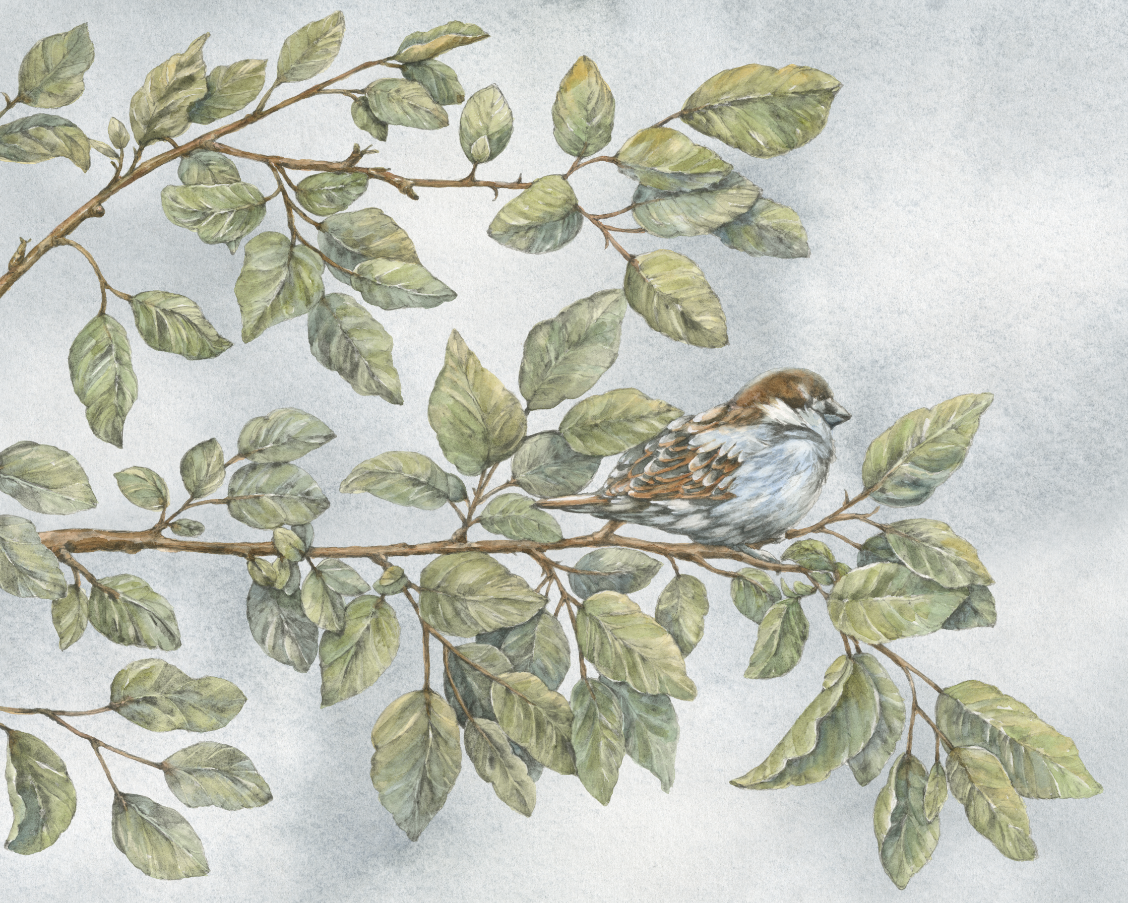 Screenshot 2026-02-20 at 11.26.03 AM.png