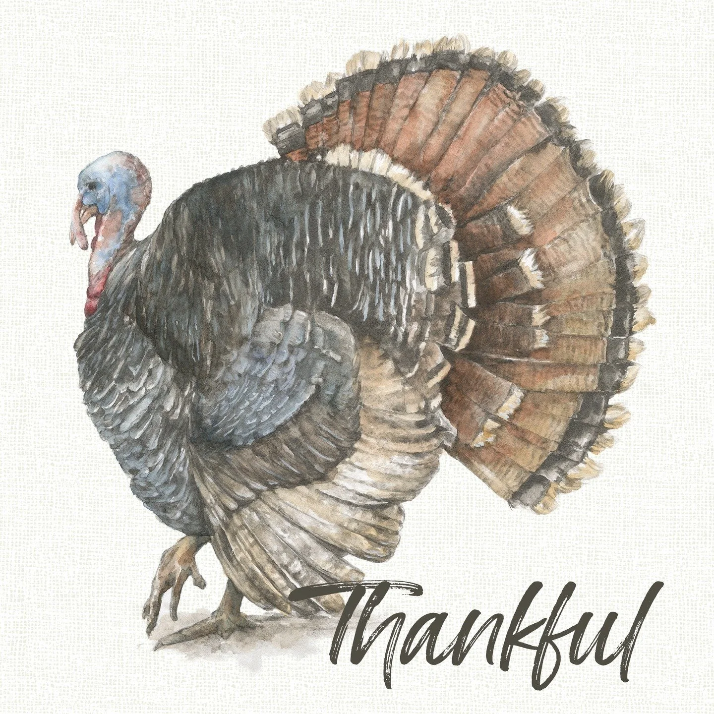 Happy Thanksgiving to all of my family, friends, coworkers and followers! I am thankful for YOU!