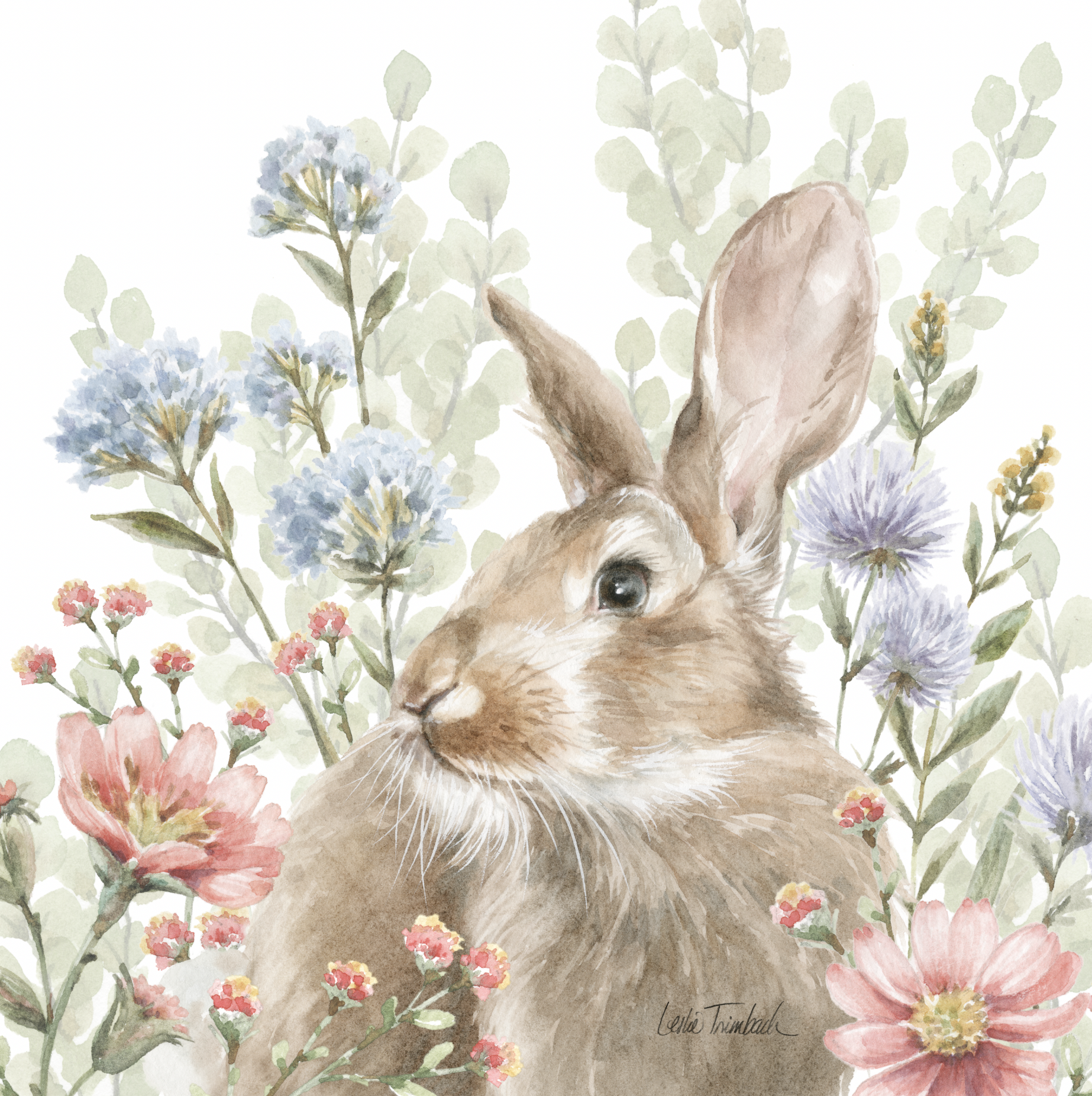 Screenshot 2026-02-20 at 11.09.06 AM.png