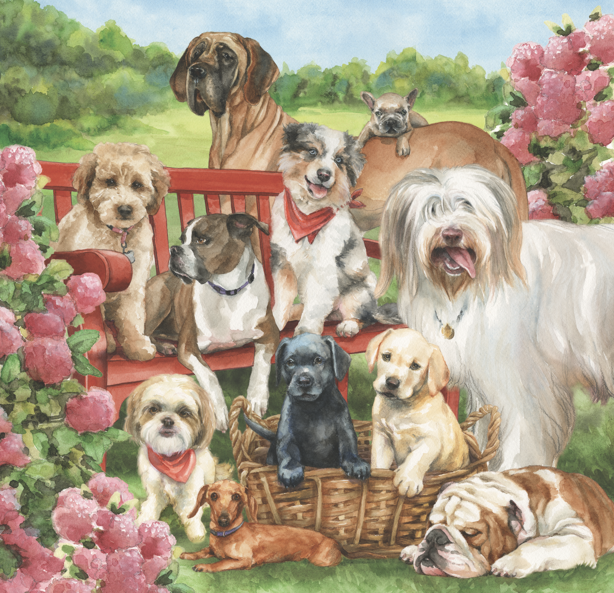 T.J.Maxx / Marshalls / HomeGoods – Reusable Bag