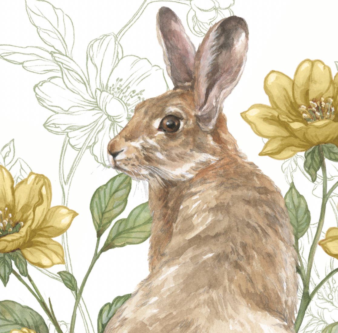 Screenshot 2026-02-19 at 5.08.17 PM.png